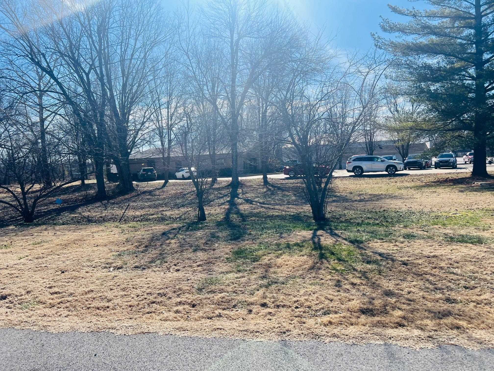 221 Main St, Beaver Dam, Kentucky 42320, ,Land,For Sale,Main St,91506