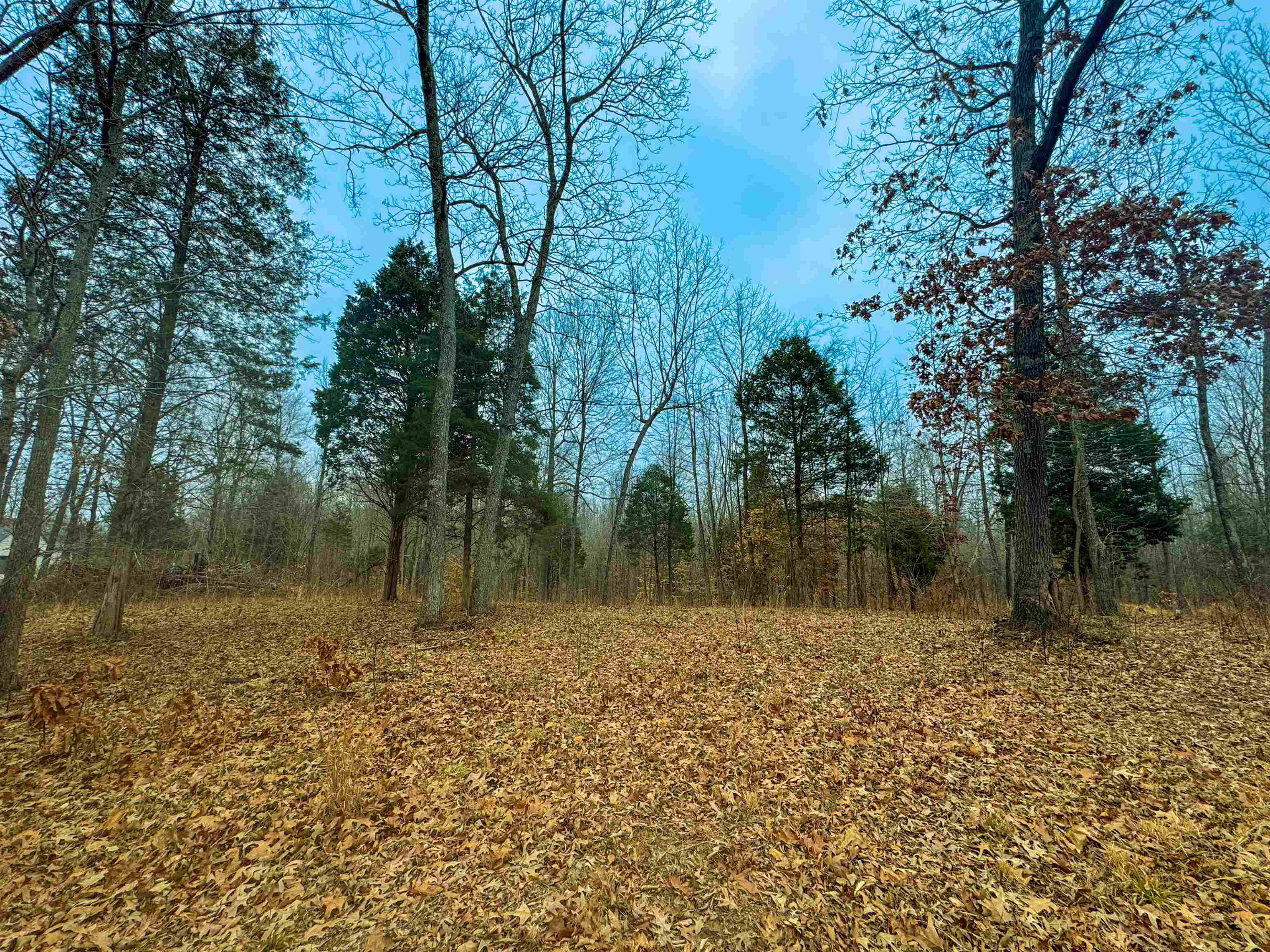 Caroline Ln, Beaver Dam, Kentucky 42320, ,Land,For Sale,Caroline Ln,91513
