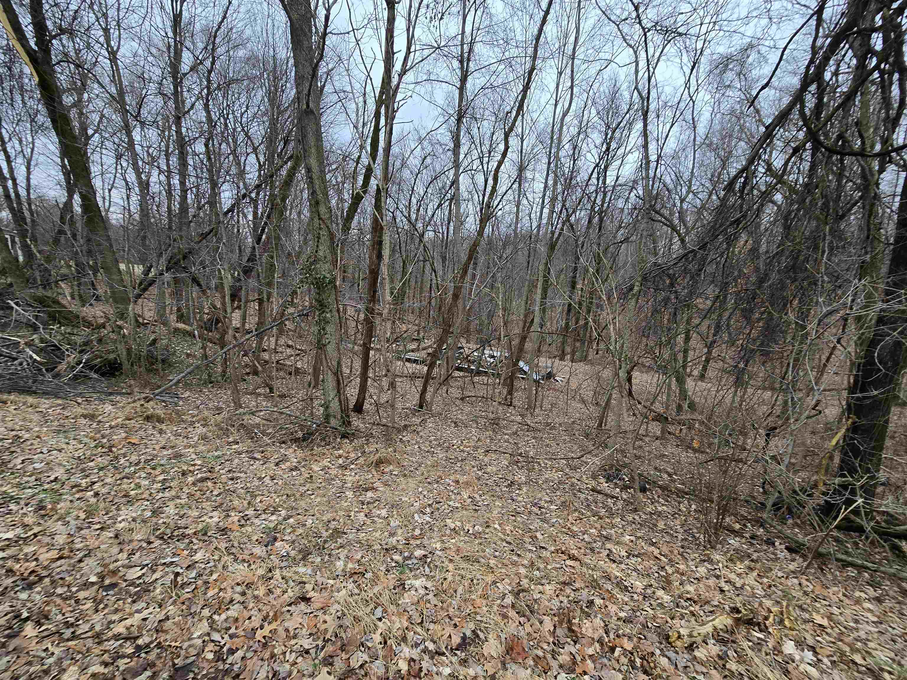 330 N Chestnut Grove, Lewisport, Kentucky 42351, ,Land,For Sale,N Chestnut Grove,91531
