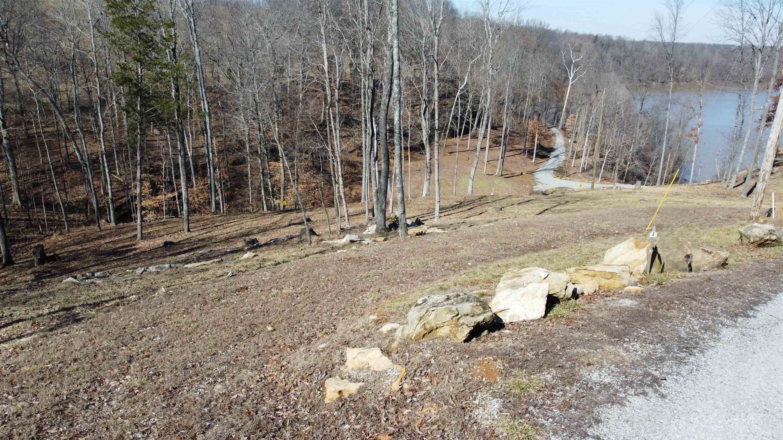 Lot 4 Stargazer Ln, Falls of Rough, Kentucky 40119, ,Land,For Sale,Stargazer Ln,91565