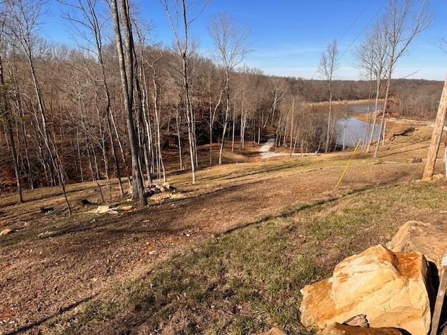 Lot 4 Stargazer Ln, Falls of Rough, Kentucky 40119, ,Land,For Sale,Stargazer Ln,91565