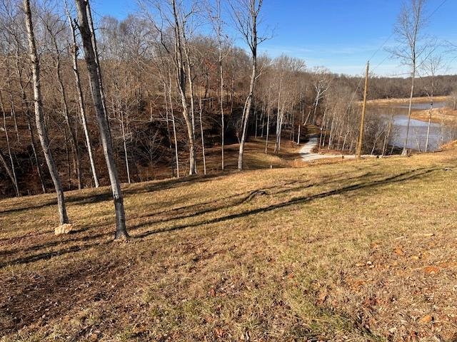 Lot 4 Stargazer Ln, Falls of Rough, Kentucky 40119, ,Land,For Sale,Stargazer Ln,91565