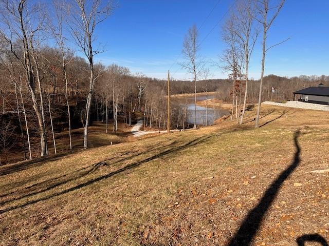 Lot 4 Stargazer Ln, Falls of Rough, Kentucky 40119, ,Land,For Sale,Stargazer Ln,91565