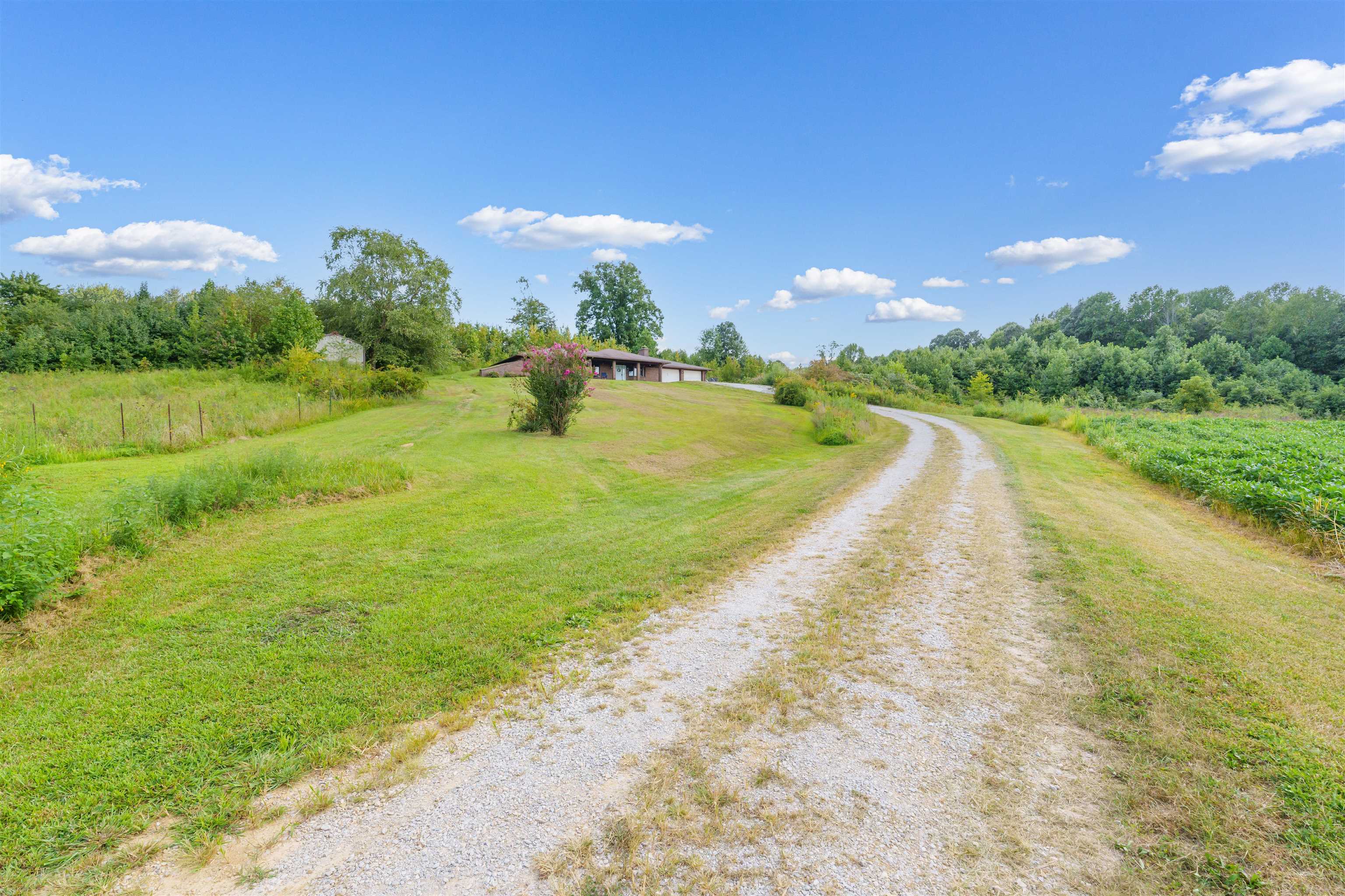 338 Donald Ralph Lane, Whitesville, Kentucky 42378, 3 Bedrooms Bedrooms, ,2 BathroomsBathrooms,Single Family Residence,For Sale,Donald Ralph Lane,91570