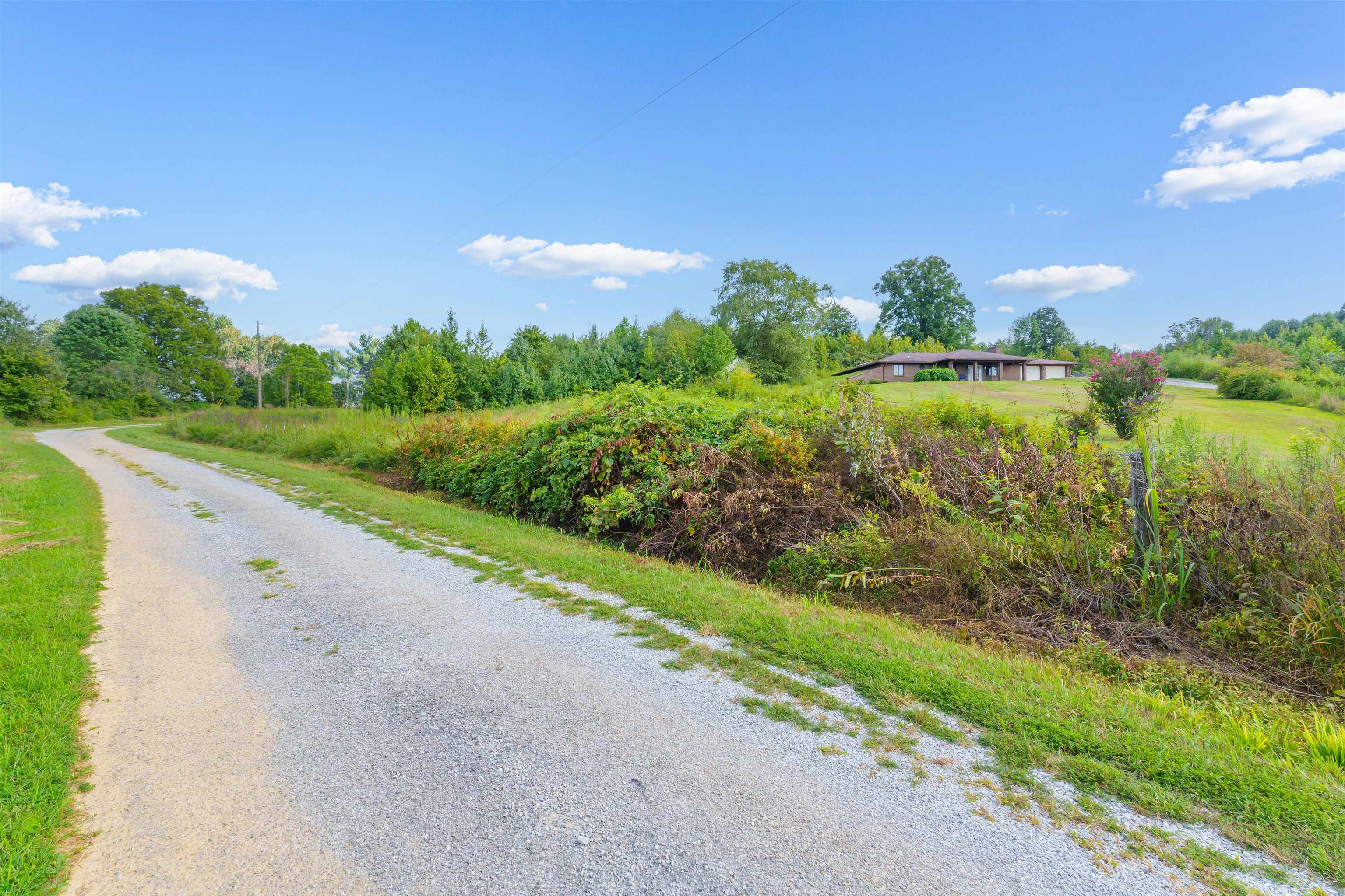 338 Donald Ralph Lane, Whitesville, Kentucky 42378, 3 Bedrooms Bedrooms, ,2 BathroomsBathrooms,Single Family Residence,For Sale,Donald Ralph Lane,91570