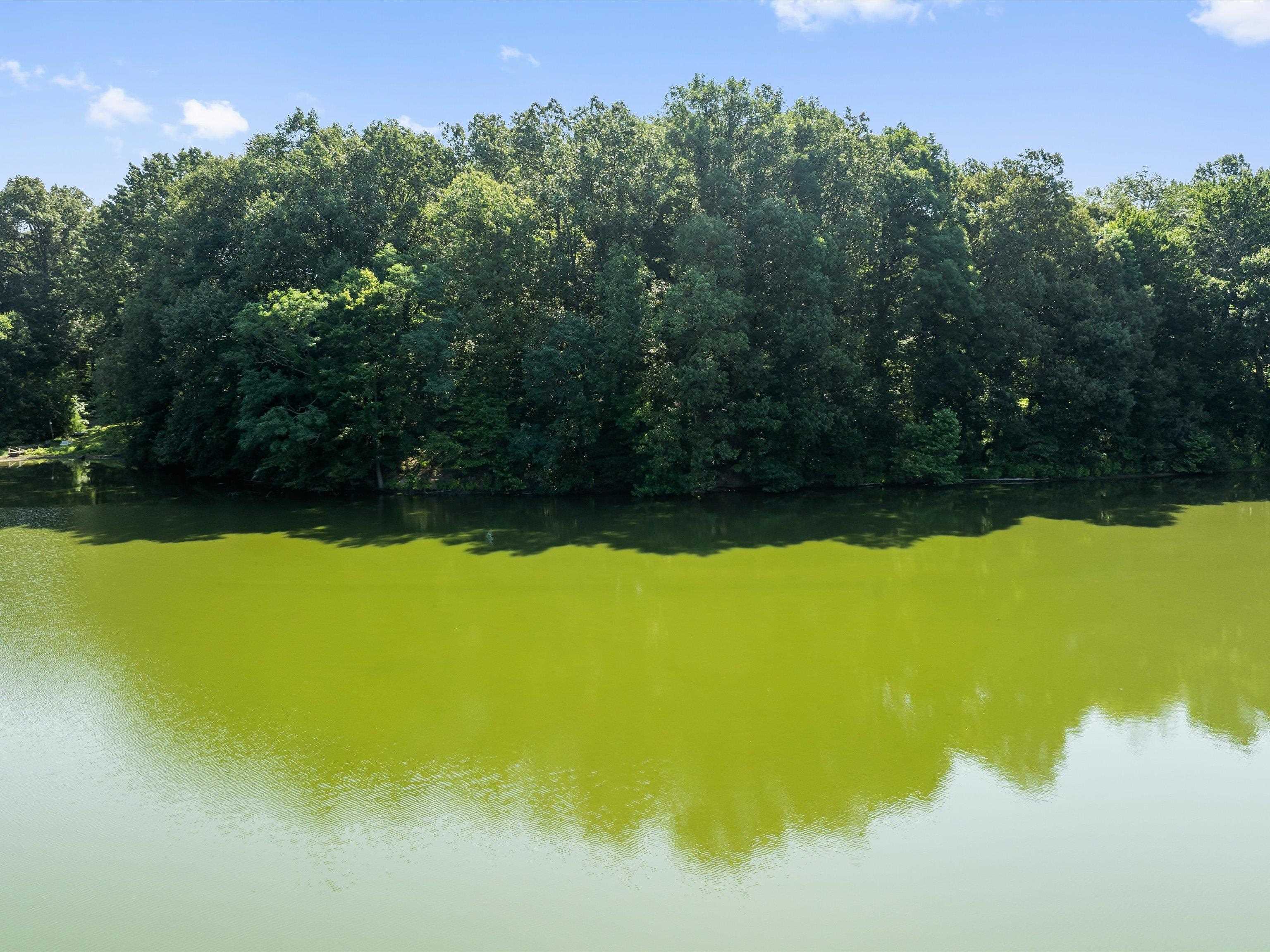 9037 Bolling Heights Lane, Maceo, Kentucky 42355, ,Land,For Sale,Bolling Heights Lane,91660