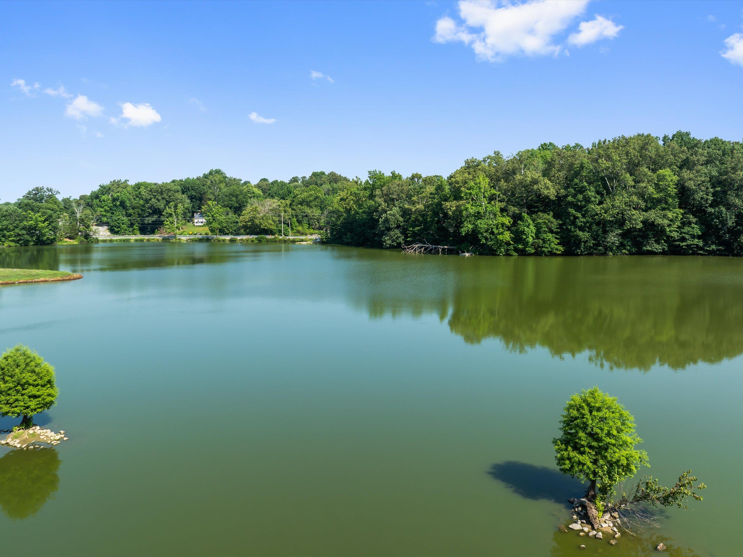 9037 Bolling Heights Lane, Maceo, Kentucky 42355, ,Land,For Sale,Bolling Heights Lane,91660