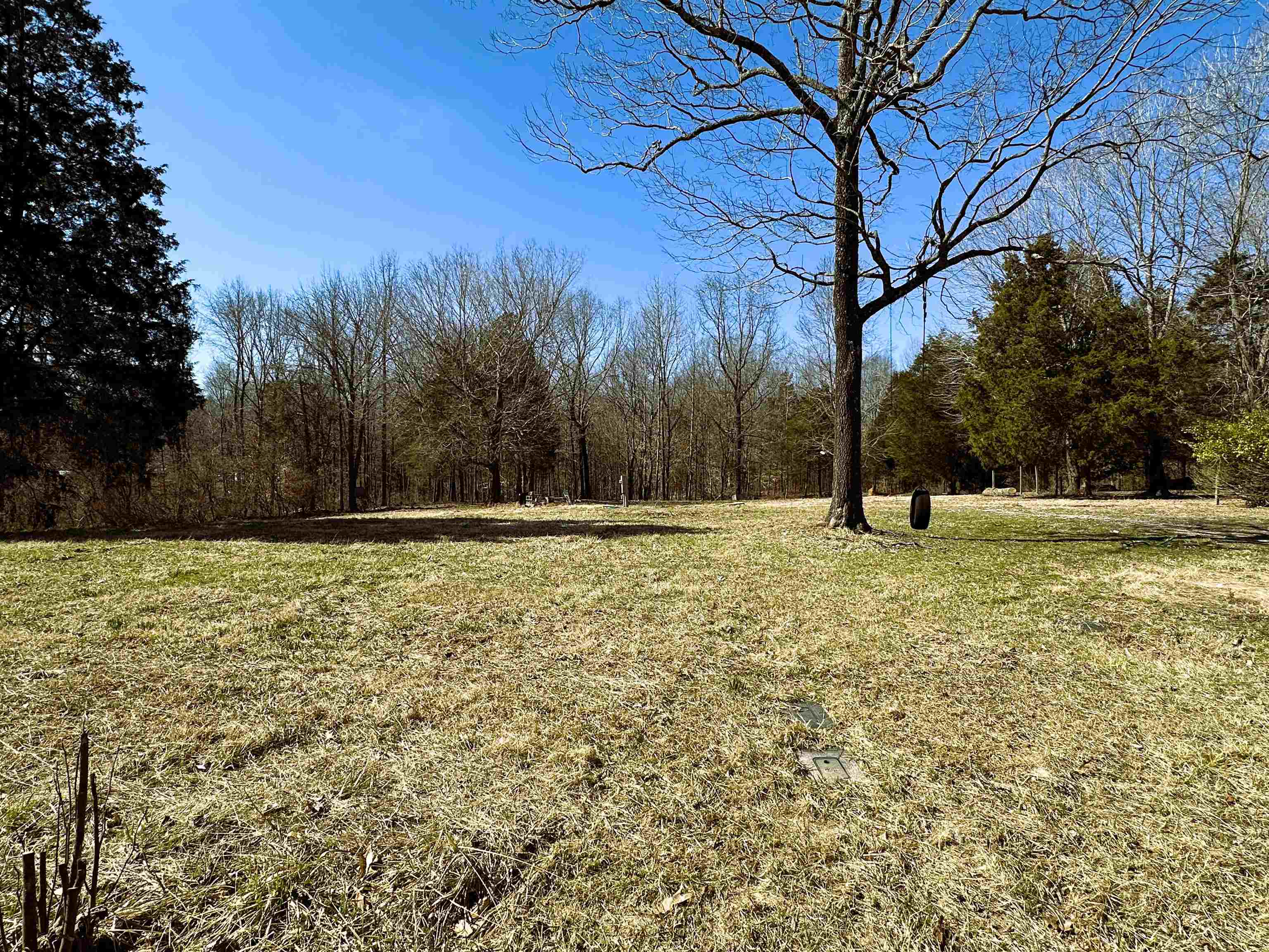 457 Carolyn Lane, Beaver Dam, Kentucky 42320, ,Land,For Sale,Carolyn Lane,91665