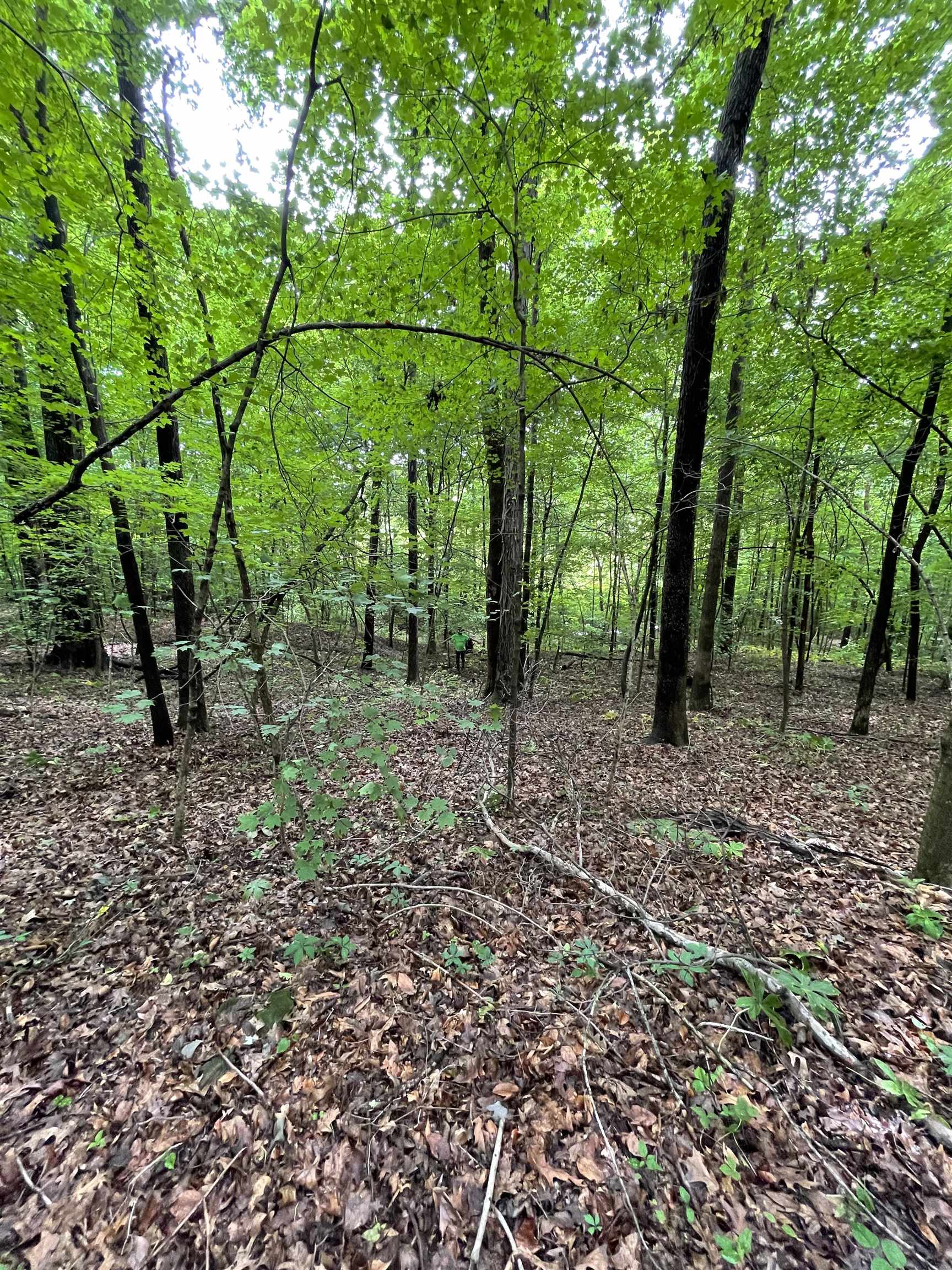 12544 State Route 1513, Daviess Co, Kentucky 42348, 3 Bedrooms Bedrooms, ,2 BathroomsBathrooms,Single Family Residence,For Sale,State Route 1513,91667