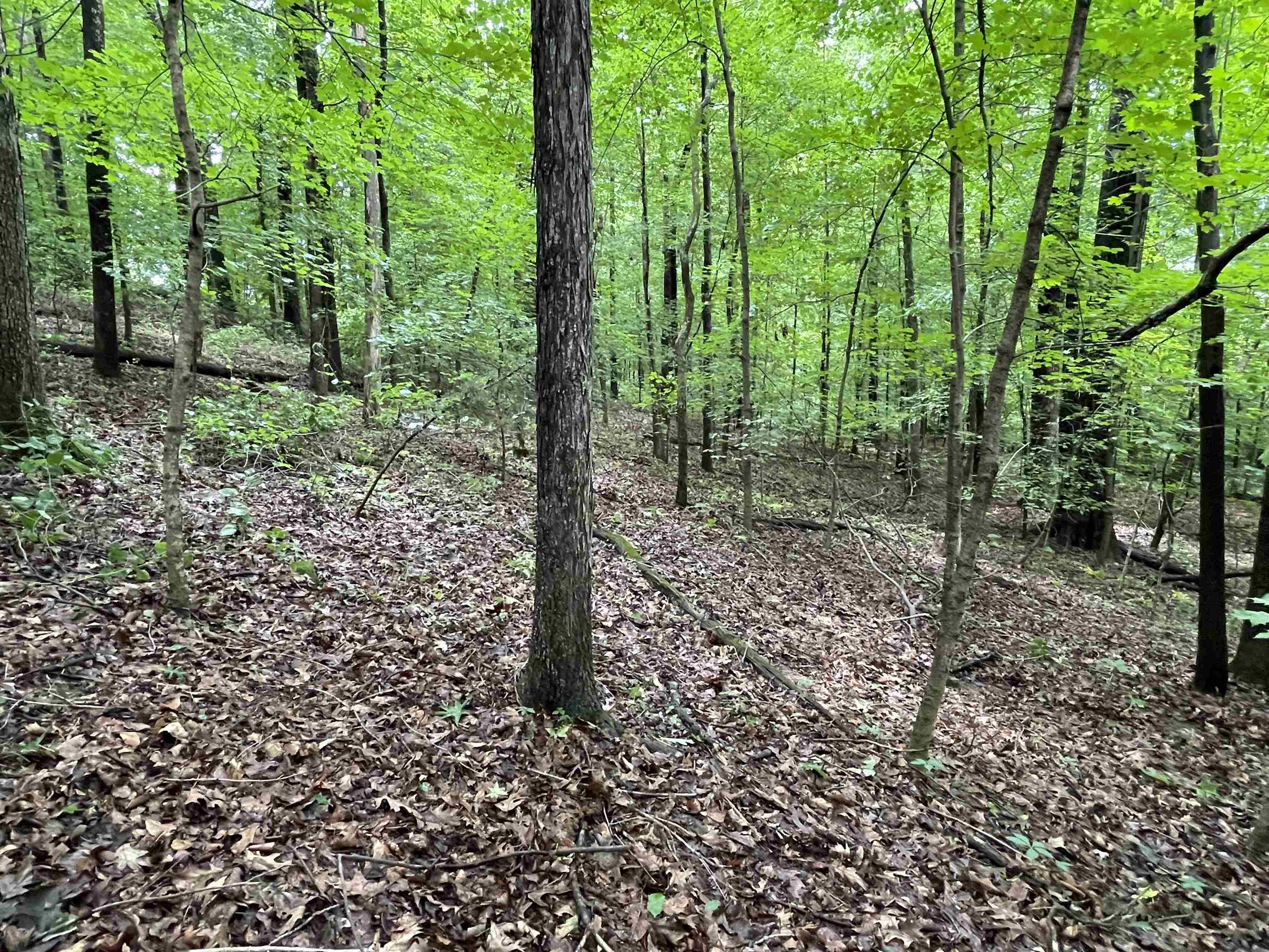 12544 State Route 1513, Daviess Co, Kentucky 42348, 3 Bedrooms Bedrooms, ,2 BathroomsBathrooms,Single Family Residence,For Sale,State Route 1513,91667
