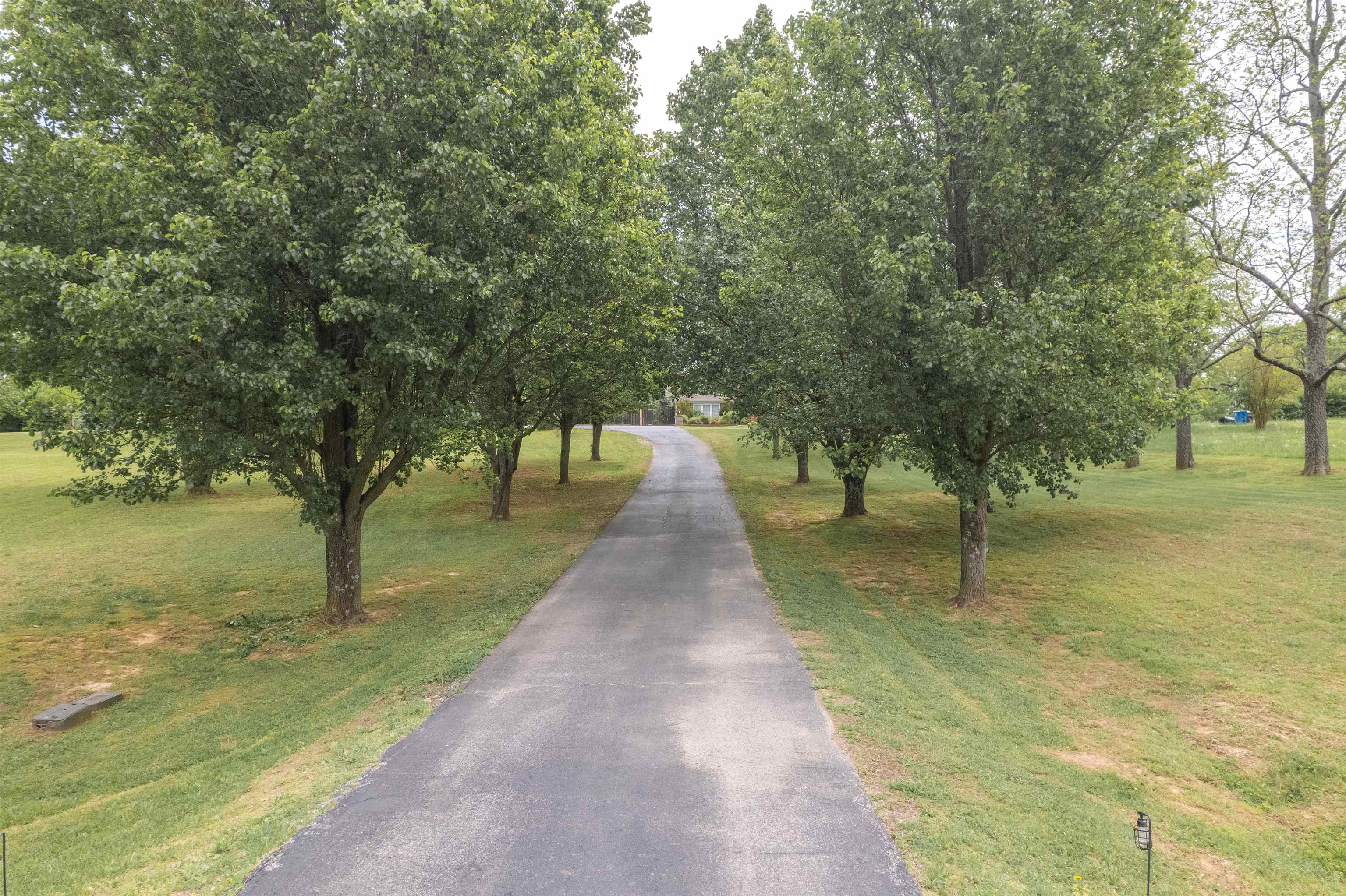 12687 Hwy 231, Utica, Kentucky 42376, 3 Bedrooms Bedrooms, ,2 BathroomsBathrooms,Single Family Residence,For Sale,Hwy 231,91680