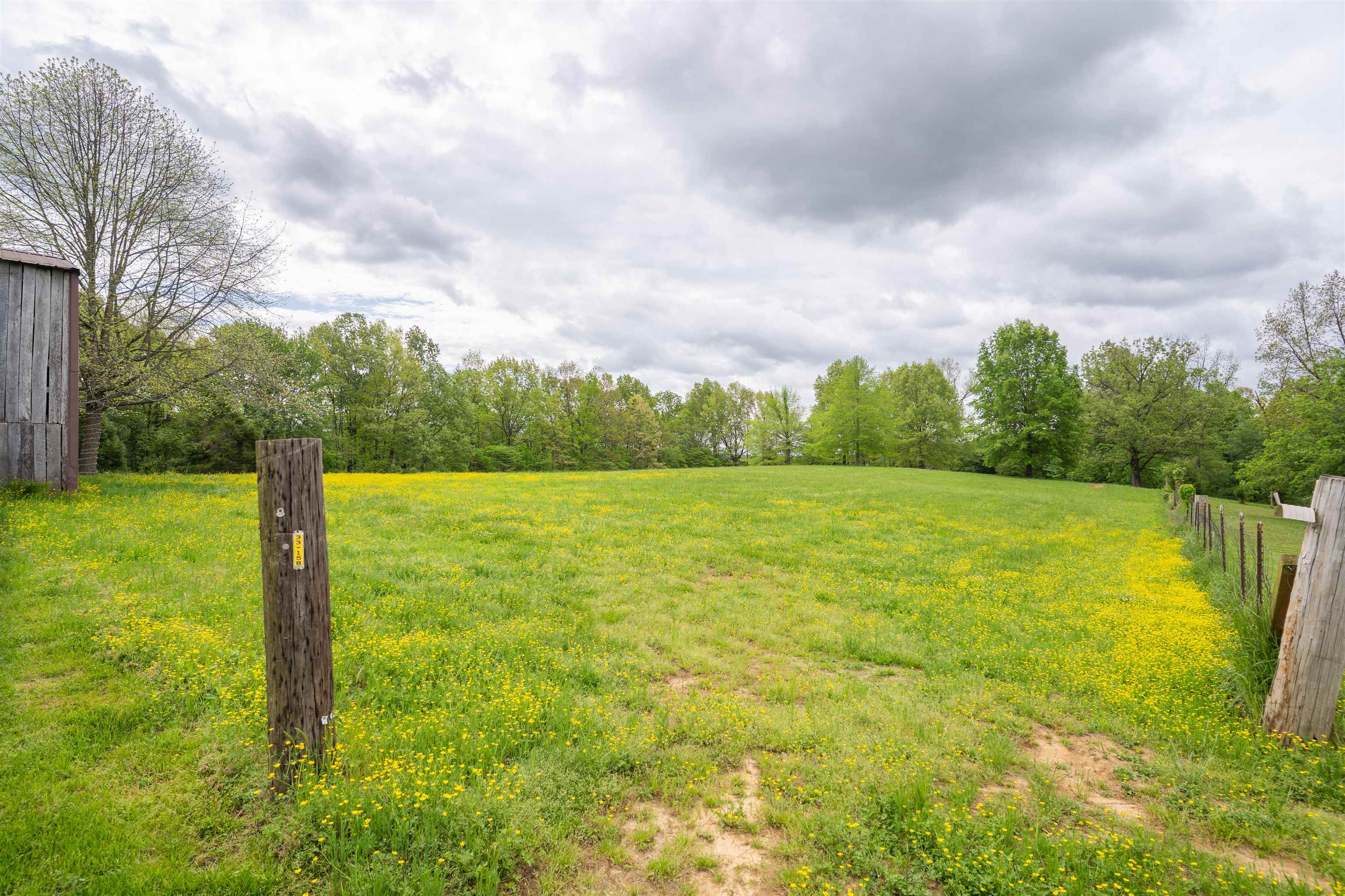 12687 Hwy 231, Utica, Kentucky 42376, 3 Bedrooms Bedrooms, ,2 BathroomsBathrooms,Single Family Residence,For Sale,Hwy 231,91680