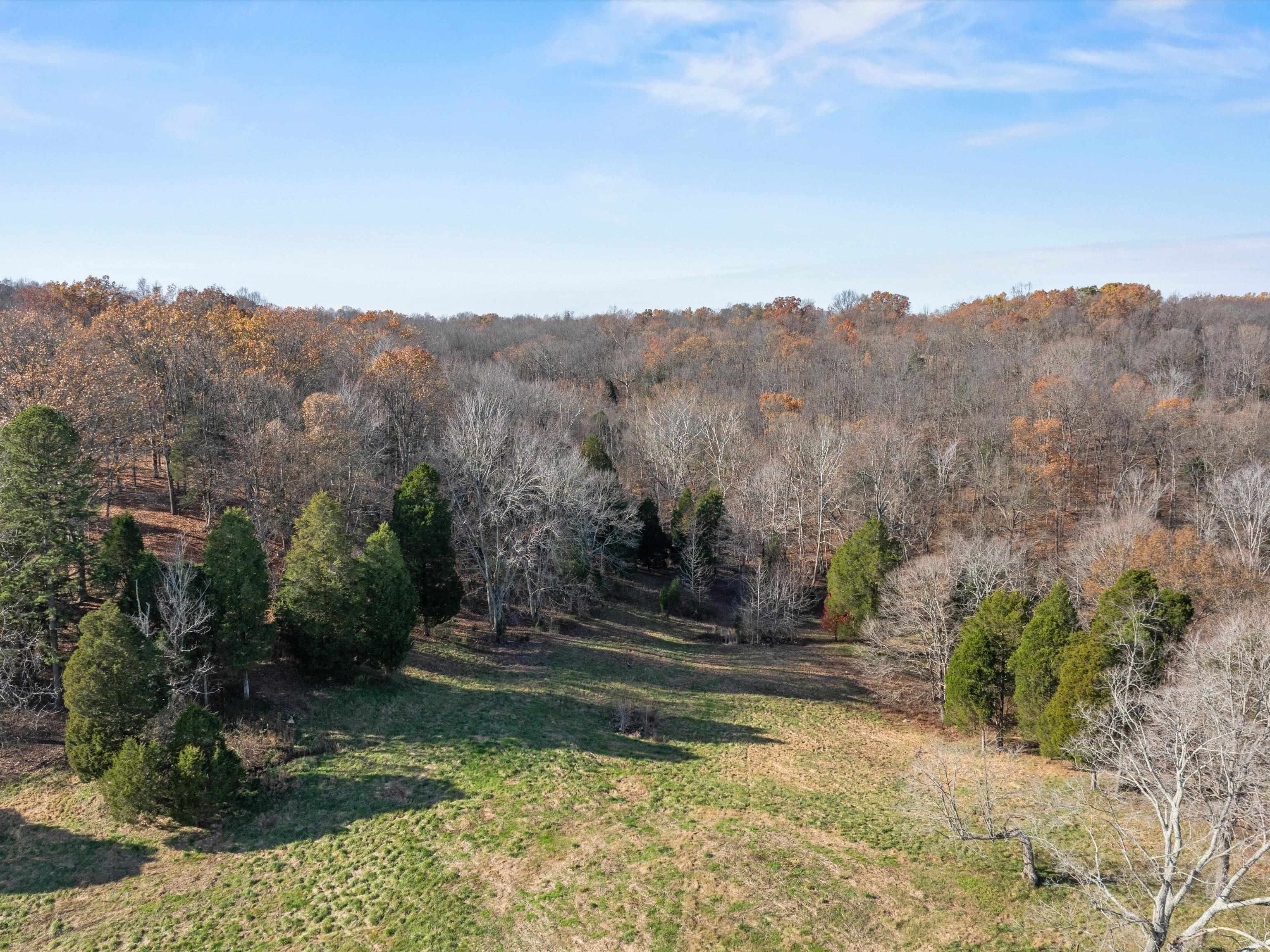 0 Case Lane, Hawesville, Kentucky 42348, ,Land,For Sale,Case Lane,91708