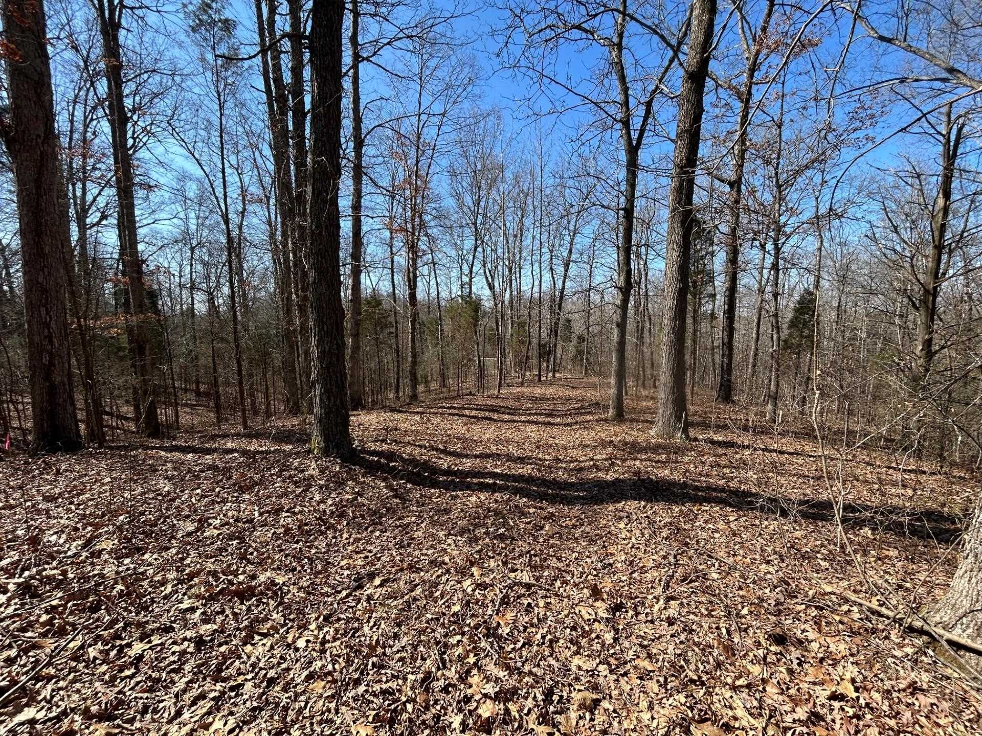 0 Tom Bolin Rd, Lewisport, Kentucky 42351, ,Land,For Sale,Tom Bolin Rd,91710