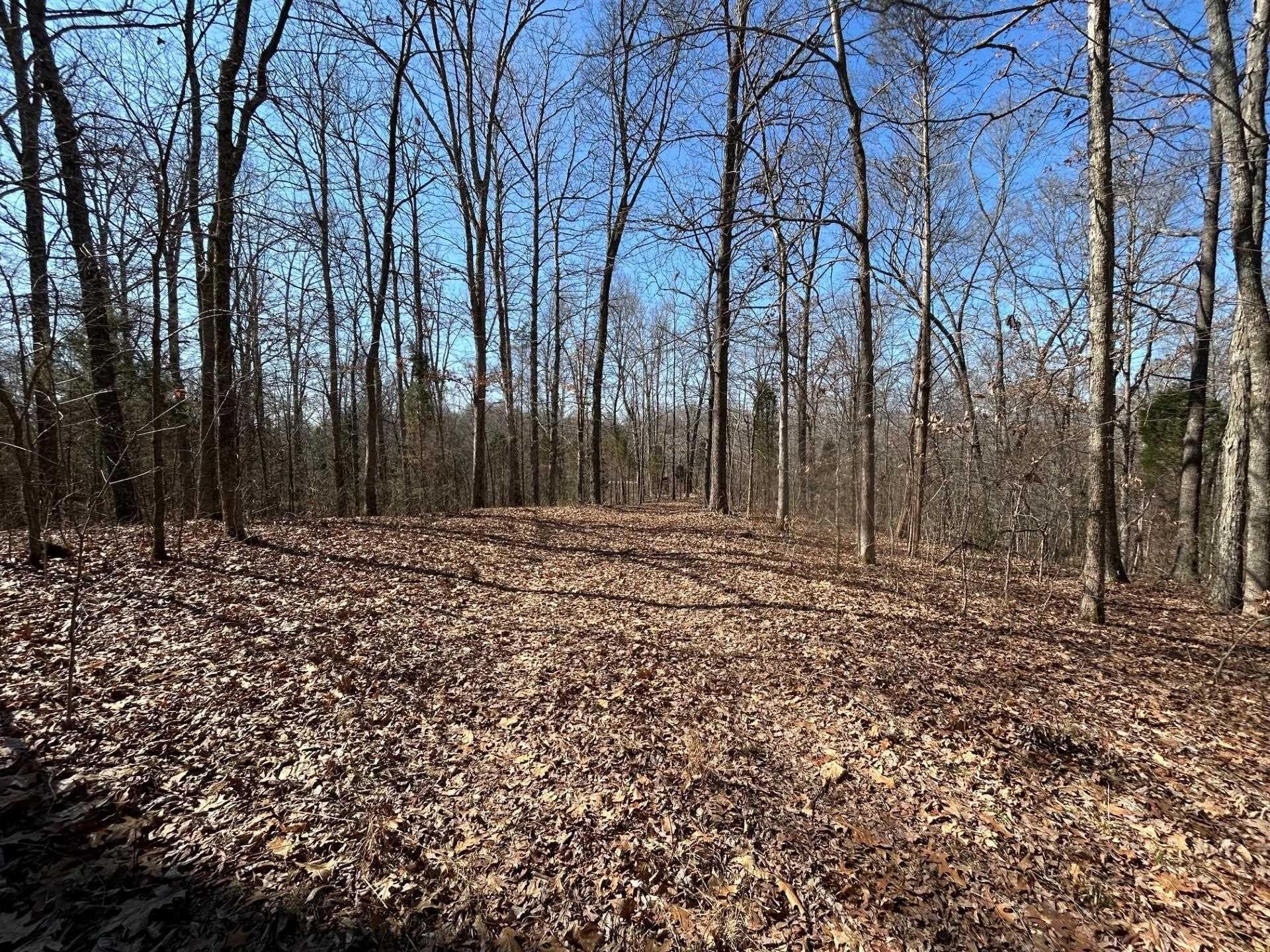 0 Tom Bolin Rd, Lewisport, Kentucky 42351, ,Land,For Sale,Tom Bolin Rd,91710