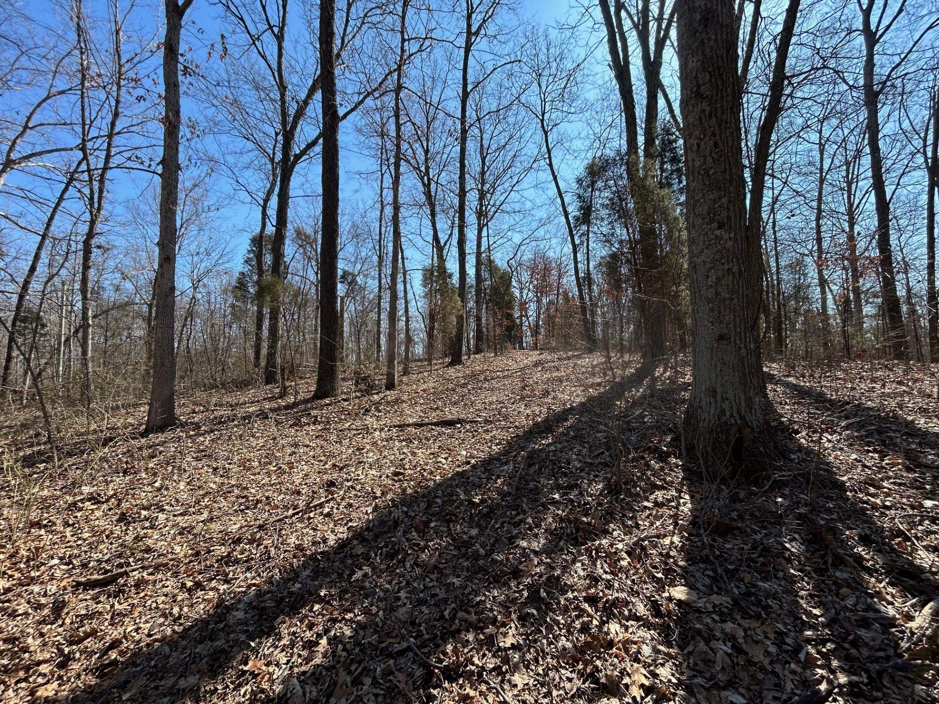 0 Tom Bolin Rd, Lewisport, Kentucky 42351, ,Land,For Sale,Tom Bolin Rd,91710