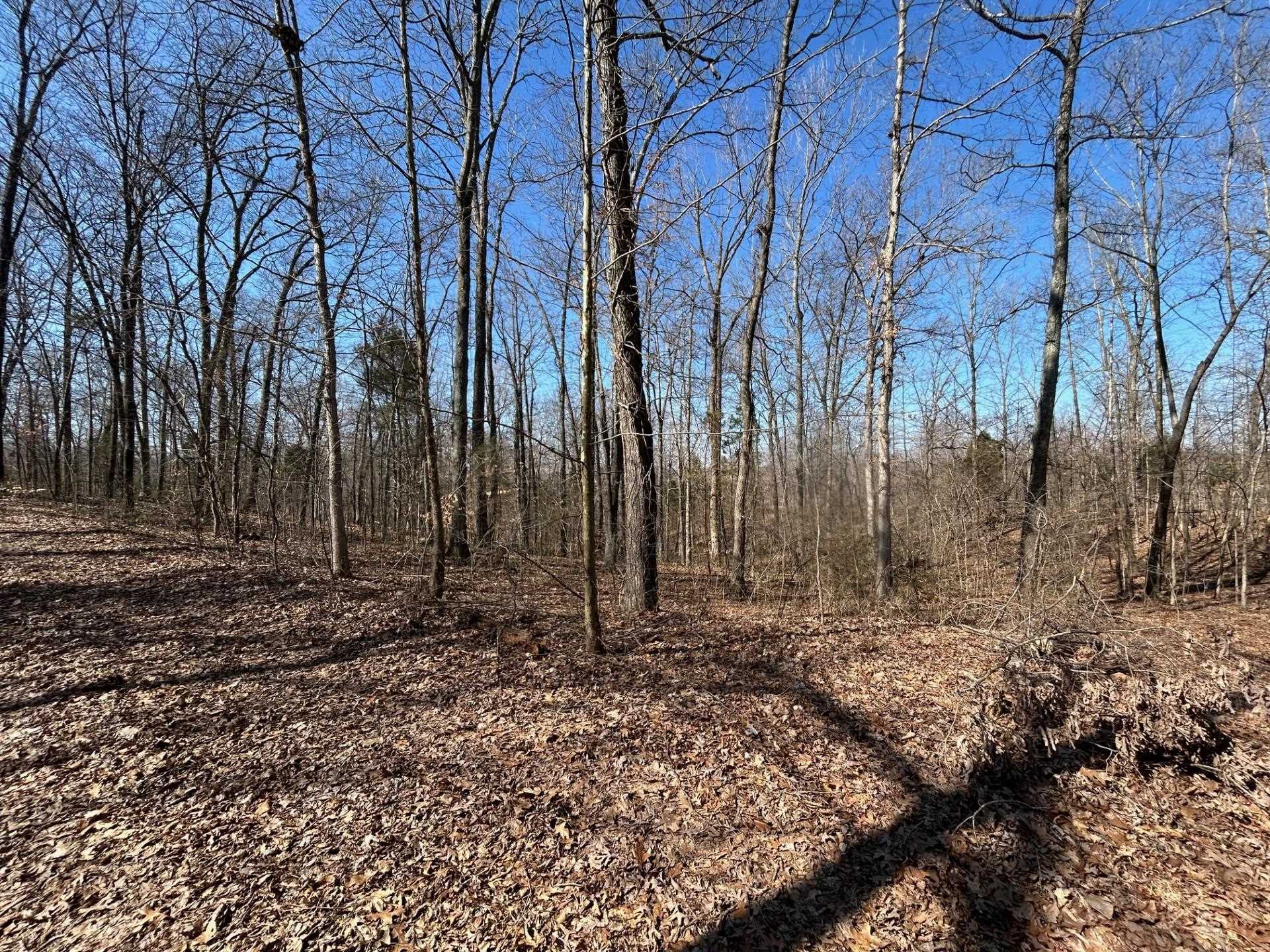 0 Tom Bolin Rd, Lewisport, Kentucky 42351, ,Land,For Sale,Tom Bolin Rd,91710