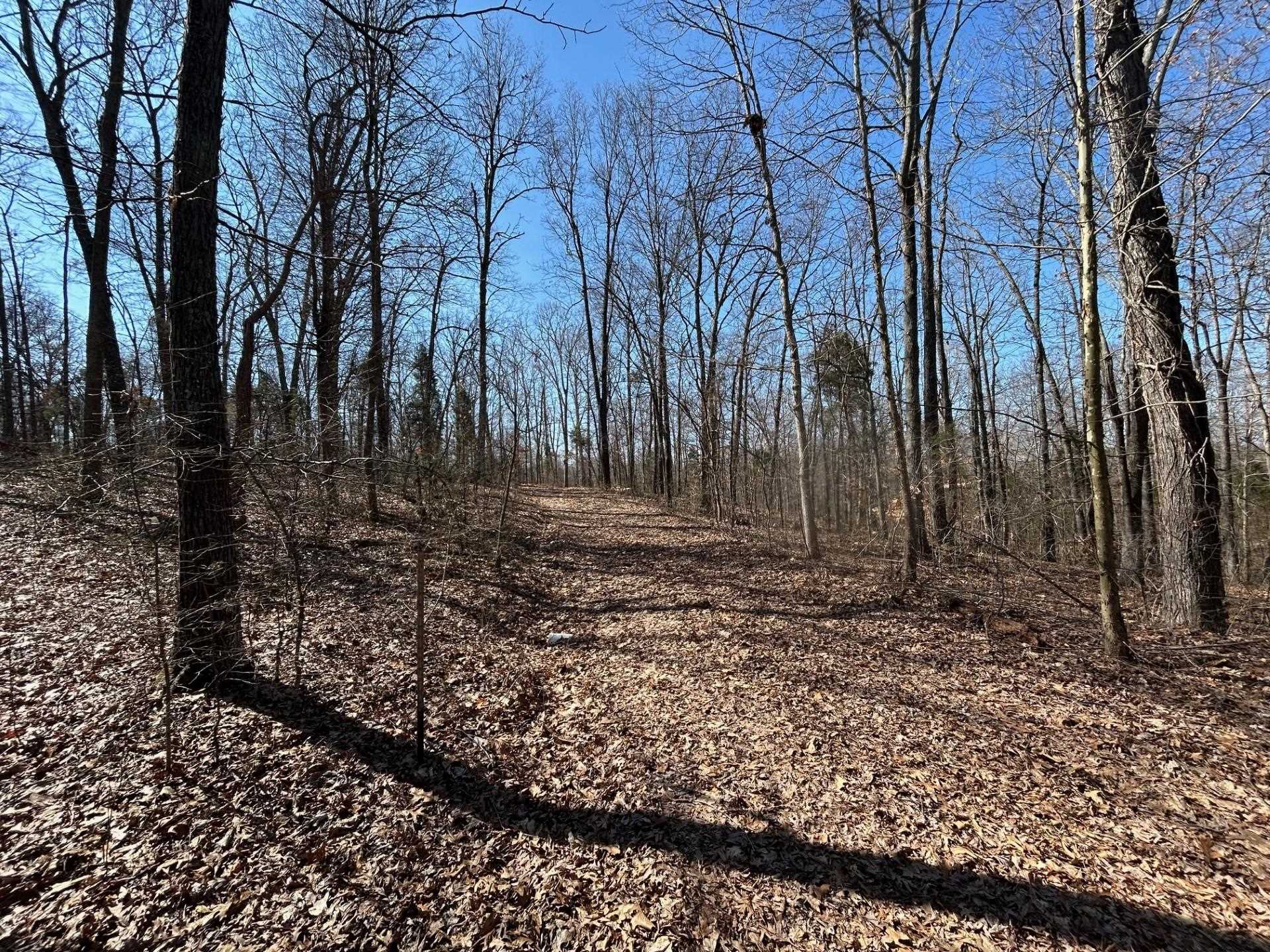 0 Tom Bolin Rd, Lewisport, Kentucky 42351, ,Land,For Sale,Tom Bolin Rd,91710
