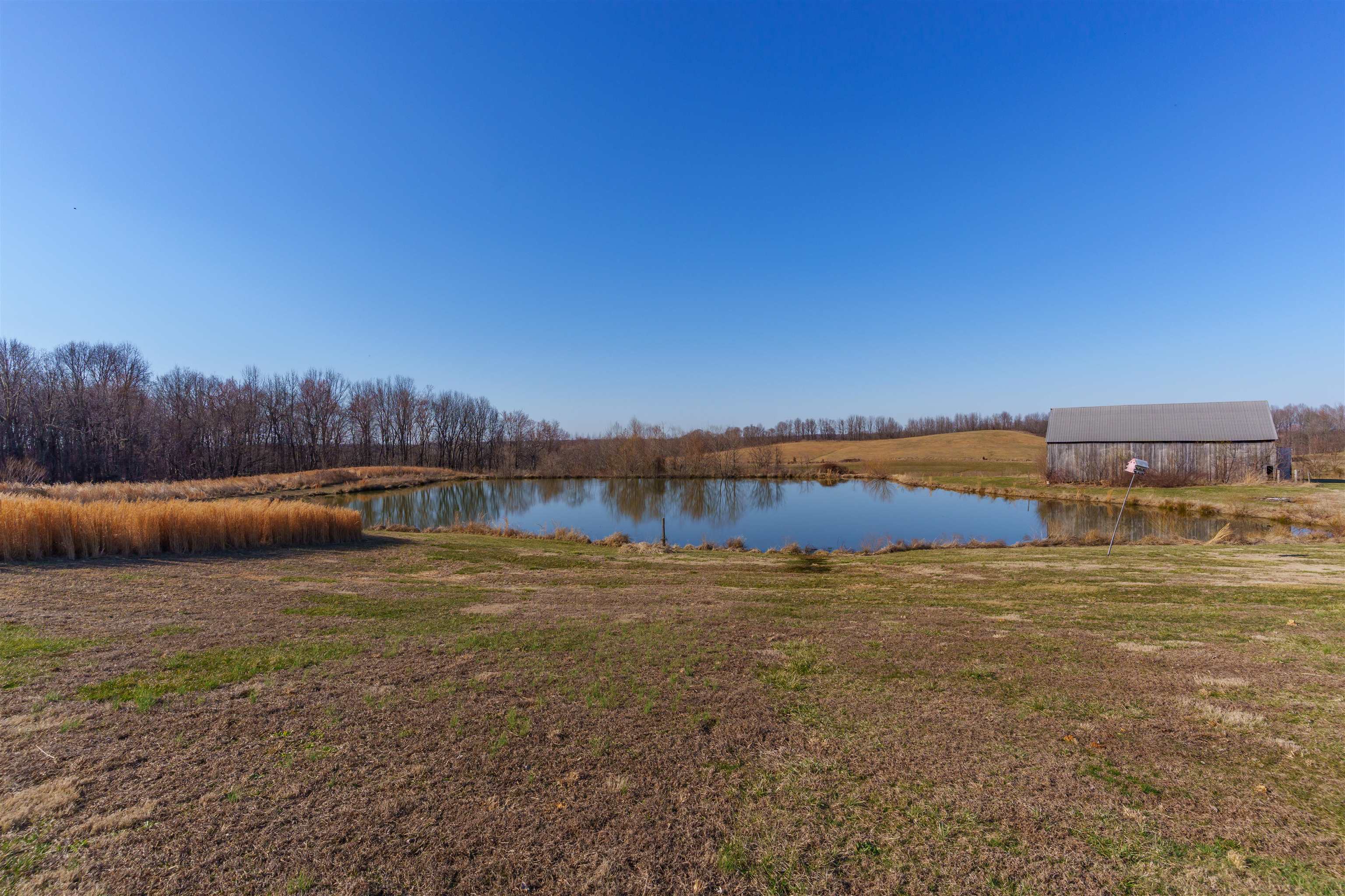 255 Schneider Tanner Lane, Calhoun, Kentucky 42327, 3 Bedrooms Bedrooms, ,2 BathroomsBathrooms,Single Family Residence,For Sale,Schneider Tanner Lane,91719