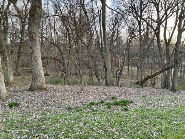 2736 Hillside Drive, Owensboro, Kentucky 42303, ,Land,For Sale,Hillside Drive,91721
