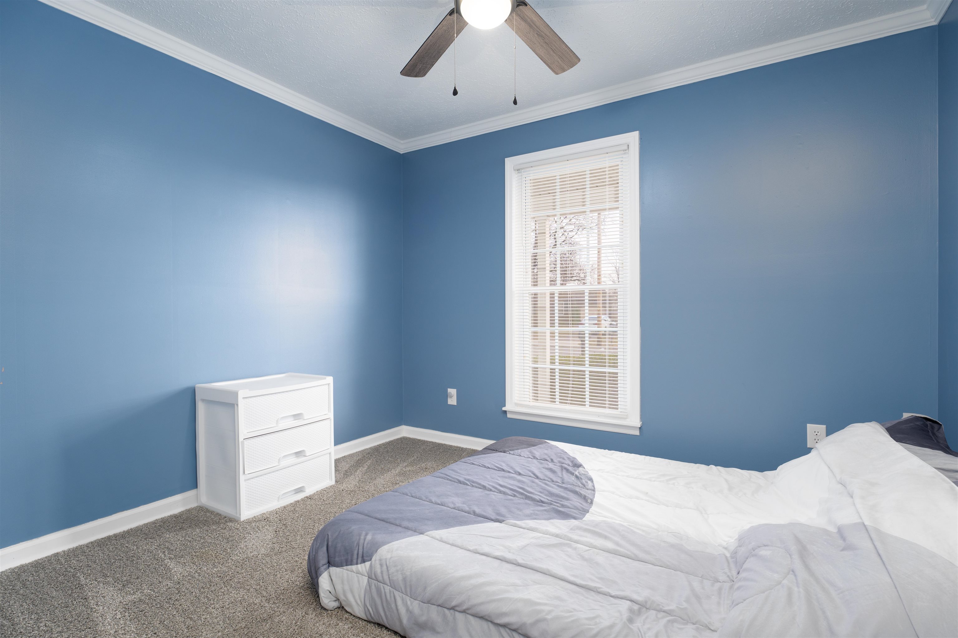 3819 Greenfield Ln, Owensboro, Kentucky 42301, 3 Bedrooms Bedrooms, ,1 BathroomBathrooms,Single Family Residence,For Sale,Greenfield Ln,91821