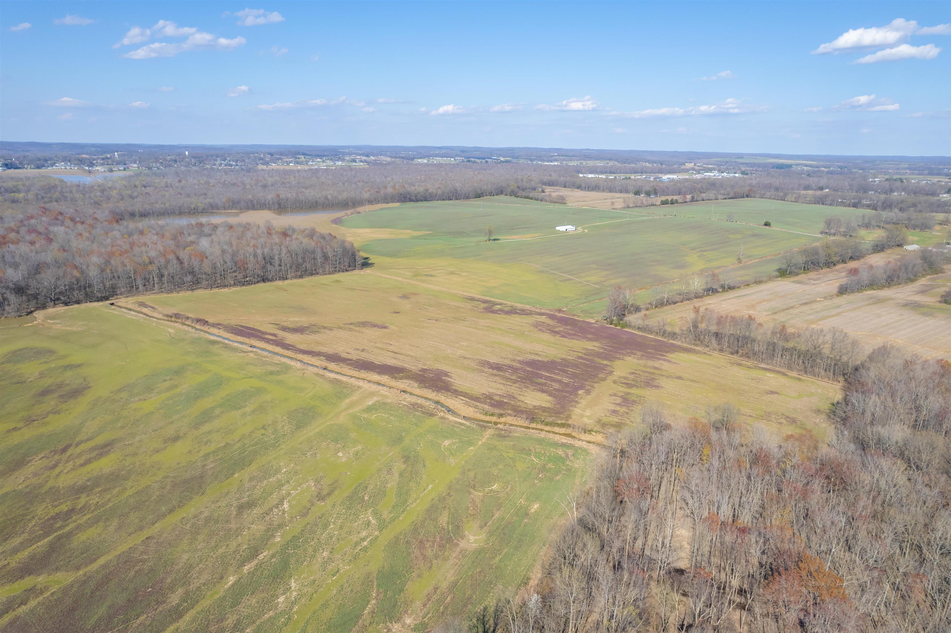 WH Luce Lane Goshen Road, Beaver Dam, Kentucky 42320, ,Farm,For Sale,WH Luce Lane Goshen Road,91845