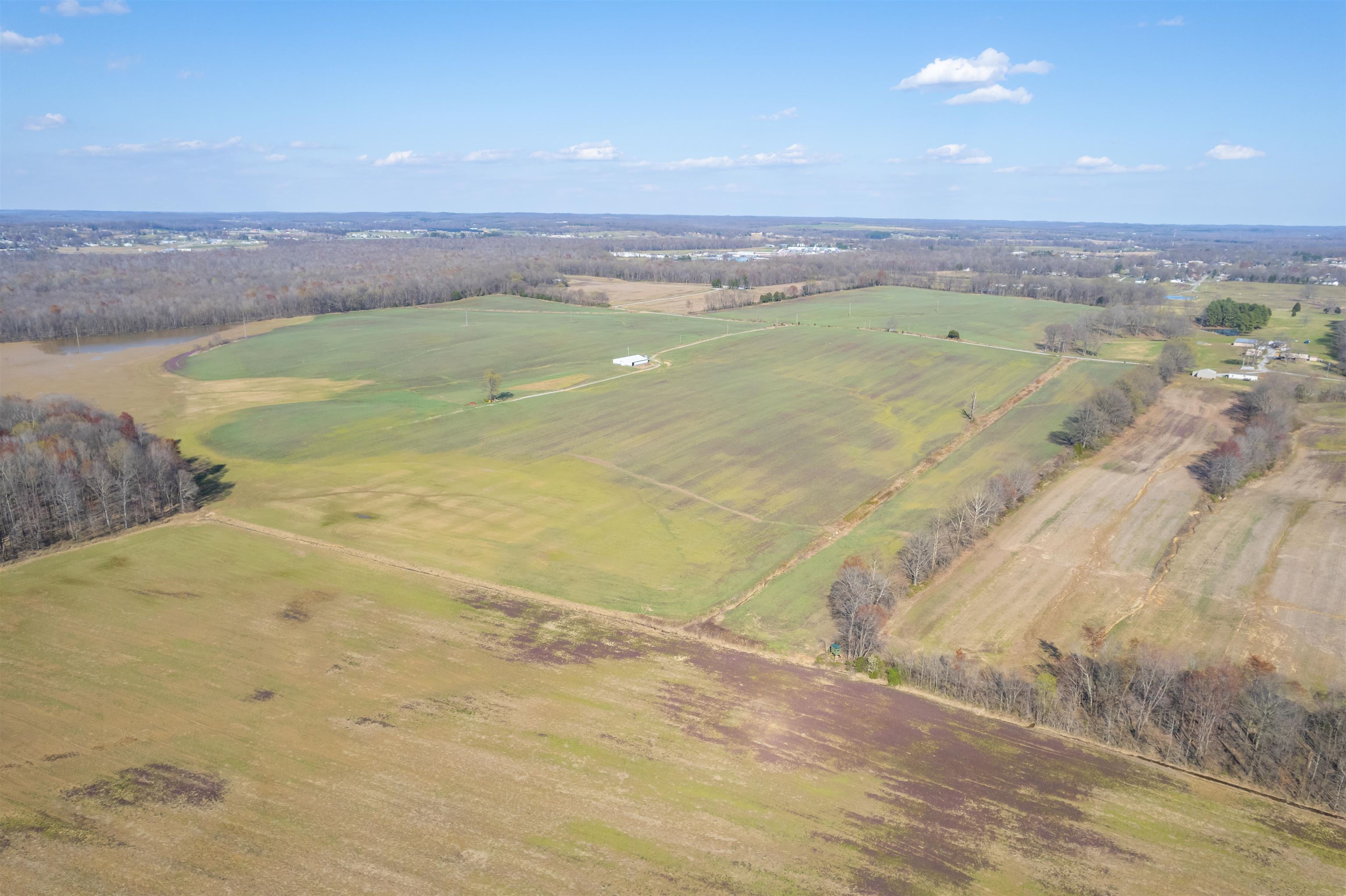 WH Luce Lane Goshen Road, Beaver Dam, Kentucky 42320, ,Farm,For Sale,WH Luce Lane Goshen Road,91846