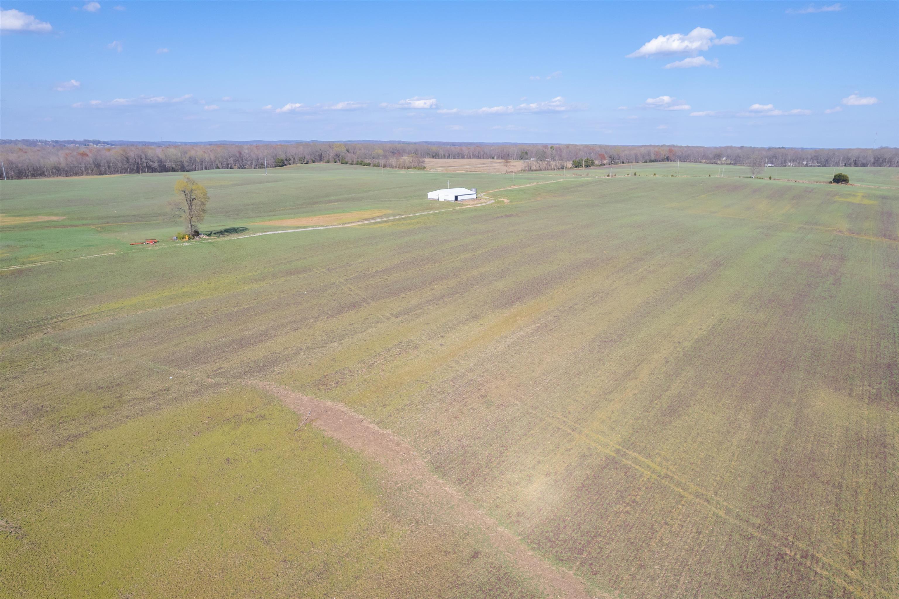 WH Luce Lane Goshen Road, Beaver Dam, Kentucky 42320, ,Farm,For Sale,WH Luce Lane Goshen Road,91846