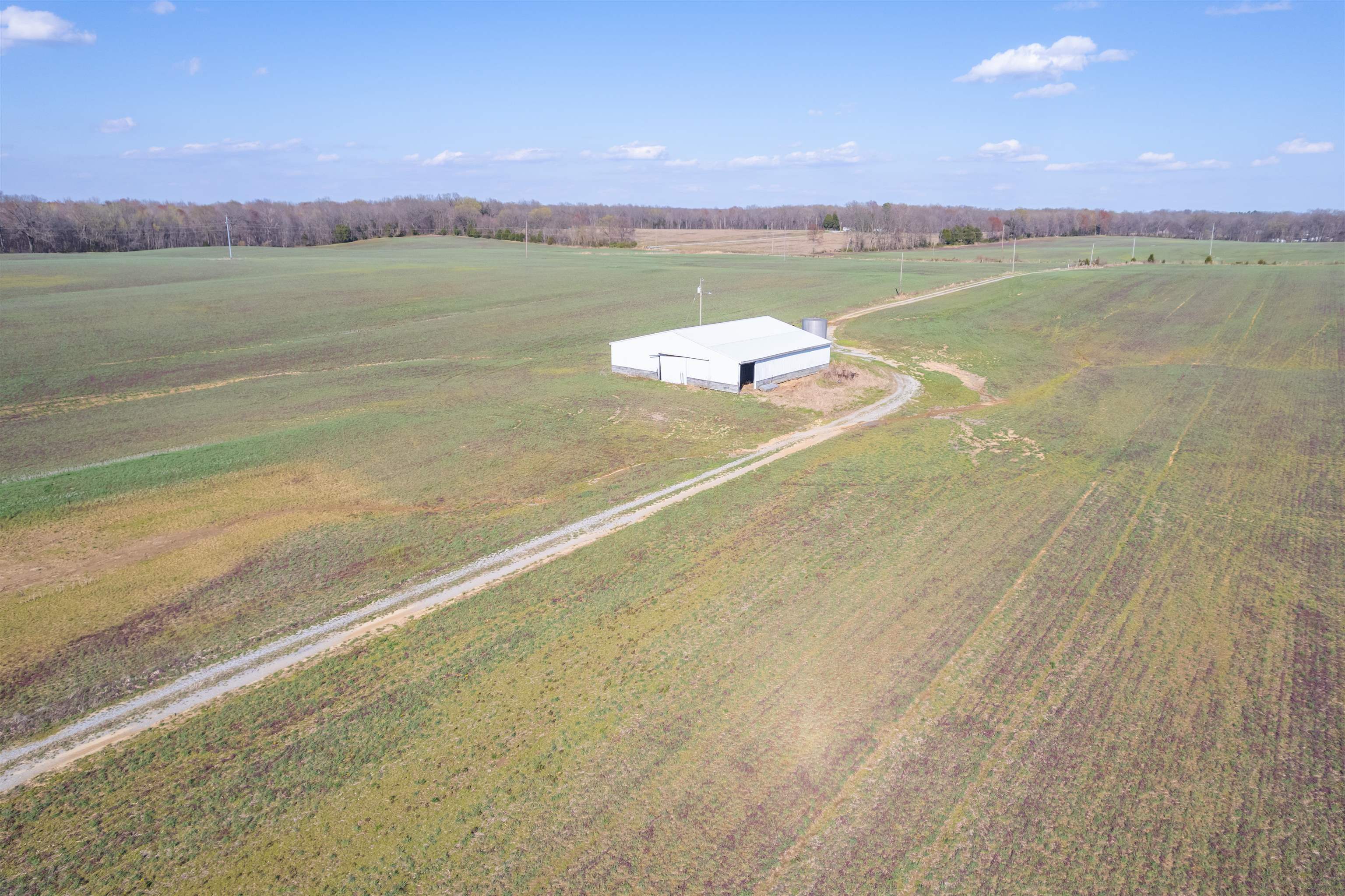 WH Luce Lane Goshen Road, Beaver Dam, Kentucky 42320, ,Farm,For Sale,WH Luce Lane Goshen Road,91846