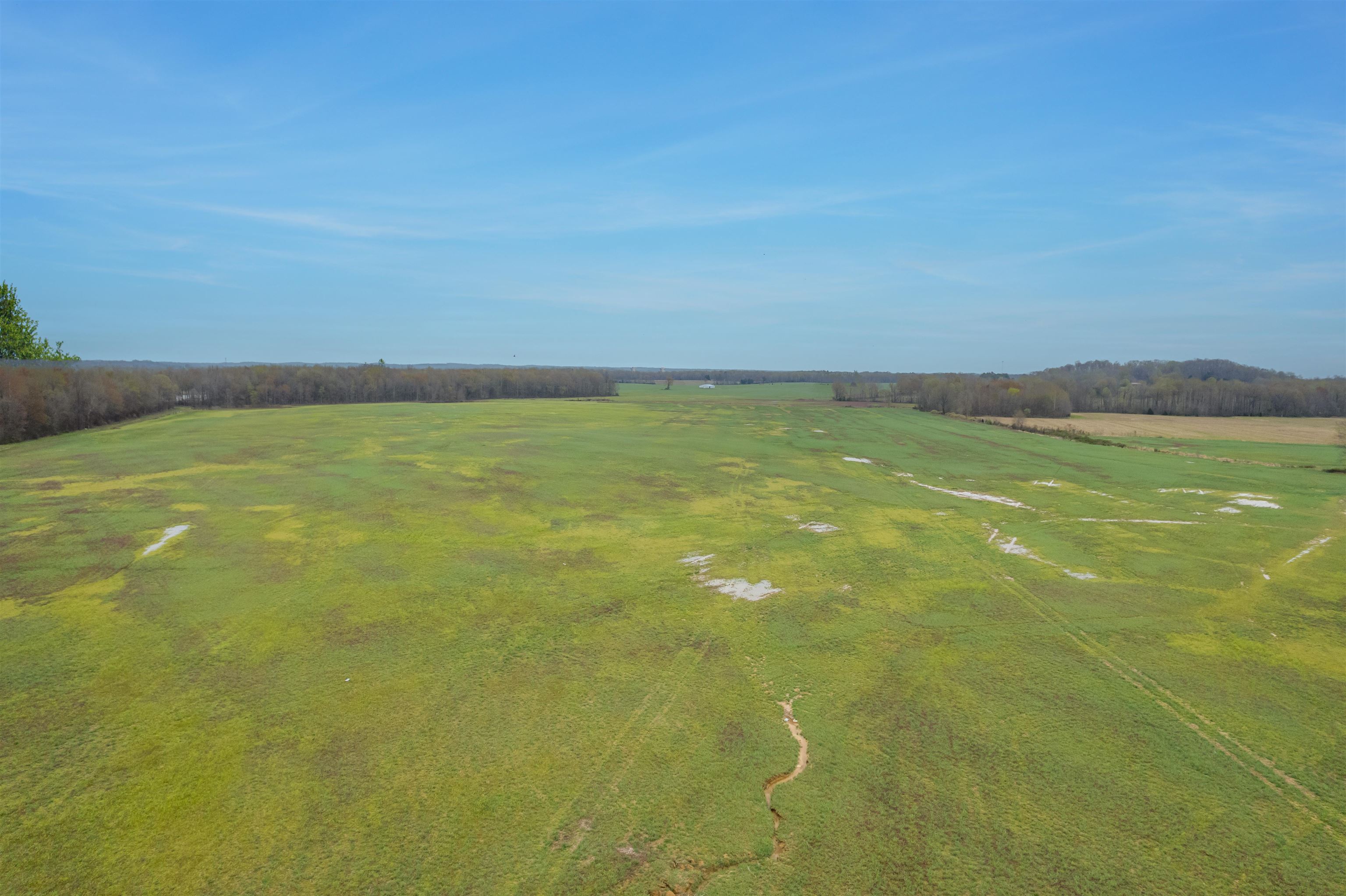 WH Luce Lane Goshen Road, Beaver Dam, Kentucky 42320, ,Farm,For Sale,WH Luce Lane Goshen Road,91846