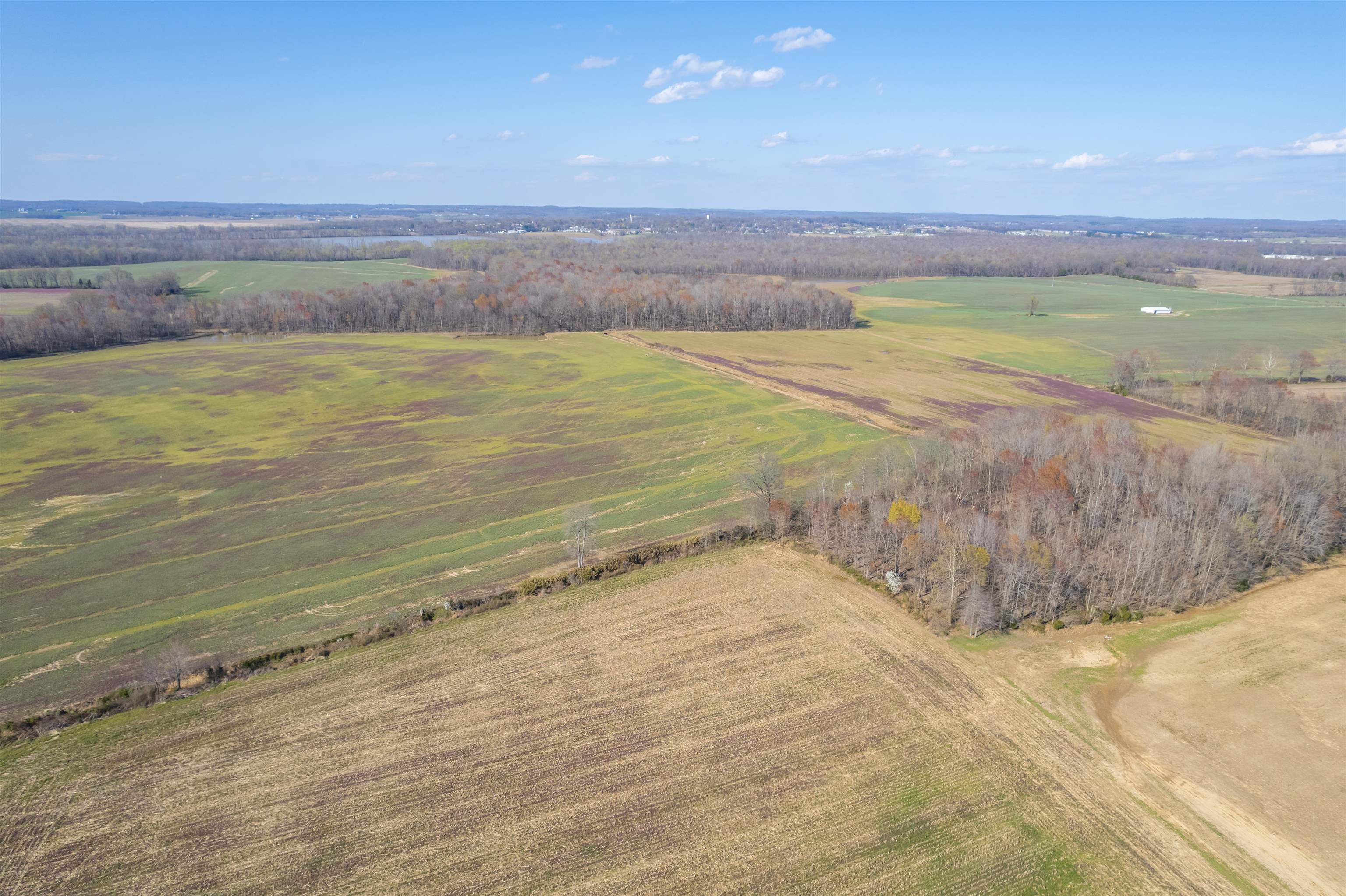 WH Luce Lane Goshen Road, Beaver Dam, Kentucky 42320, ,Farm,For Sale,WH Luce Lane Goshen Road,91846