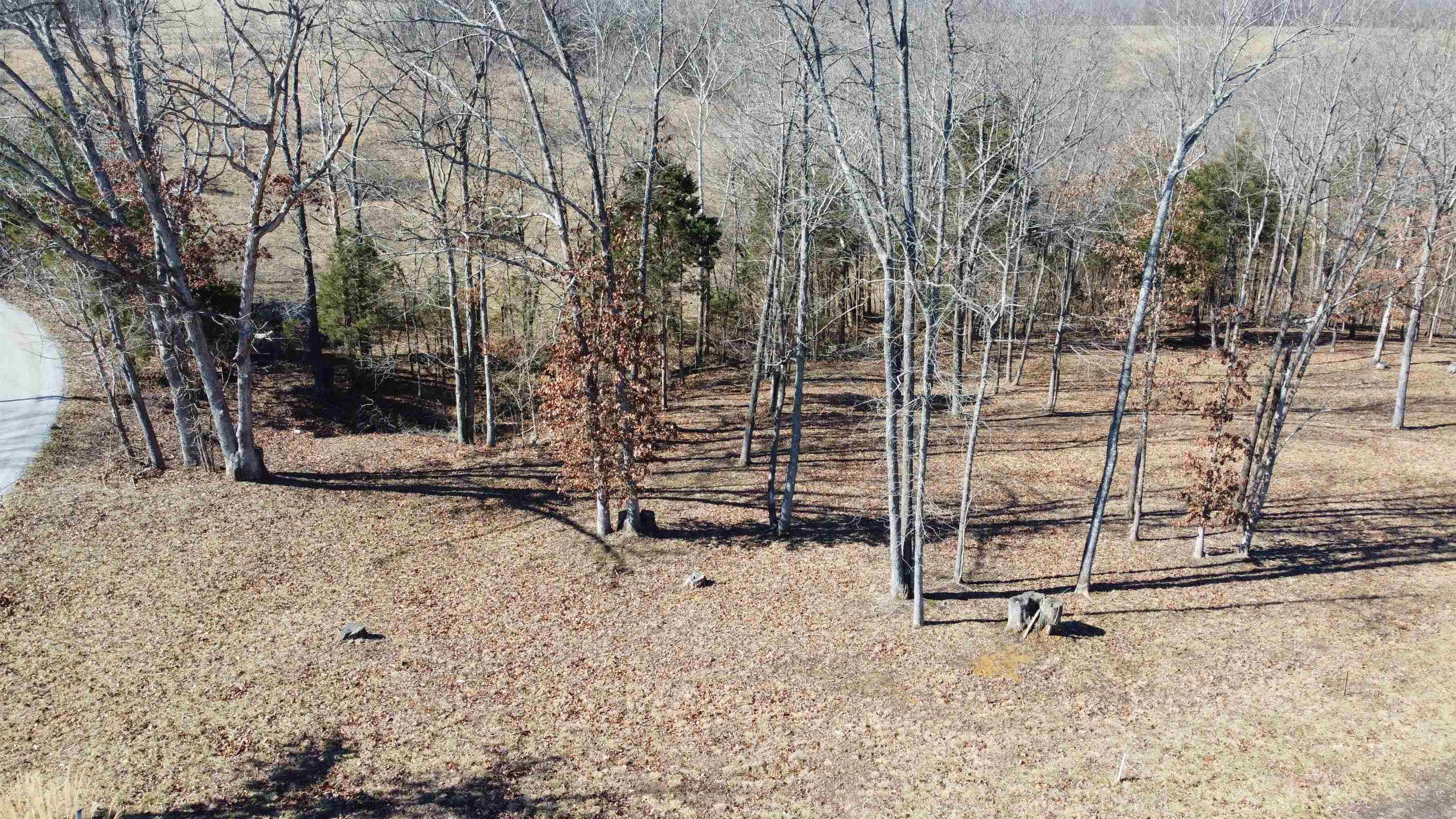 Lot 1 Stargazer Ln, Falls of Rough, Kentucky 40119, ,Land,For Sale,Stargazer Ln,91856