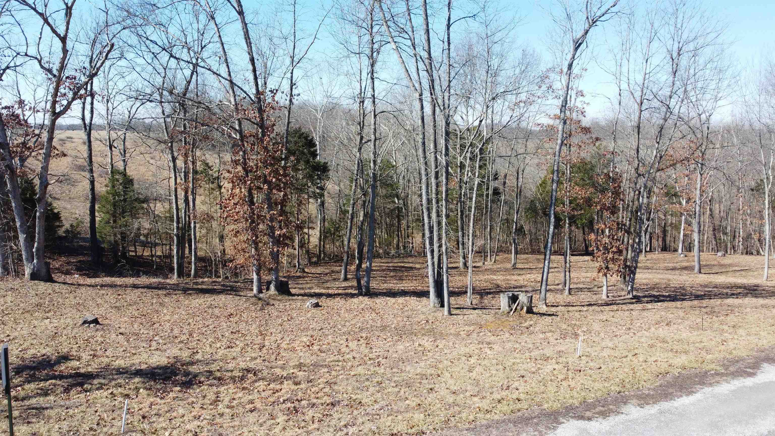 Lot 1 Stargazer Ln, Falls of Rough, Kentucky 40119, ,Land,For Sale,Stargazer Ln,91856