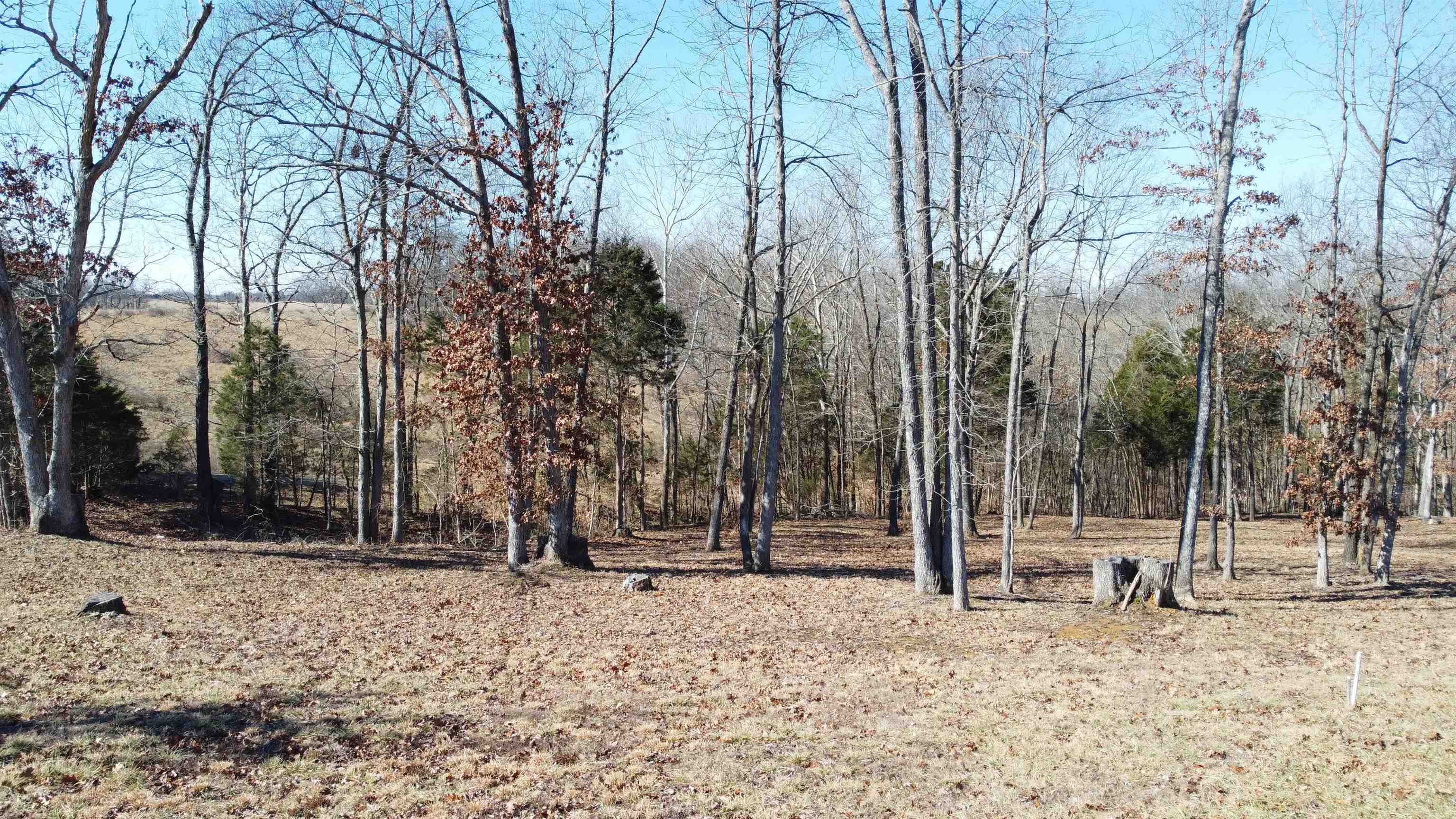 Lot 1 Stargazer Ln, Falls of Rough, Kentucky 40119, ,Land,For Sale,Stargazer Ln,91856