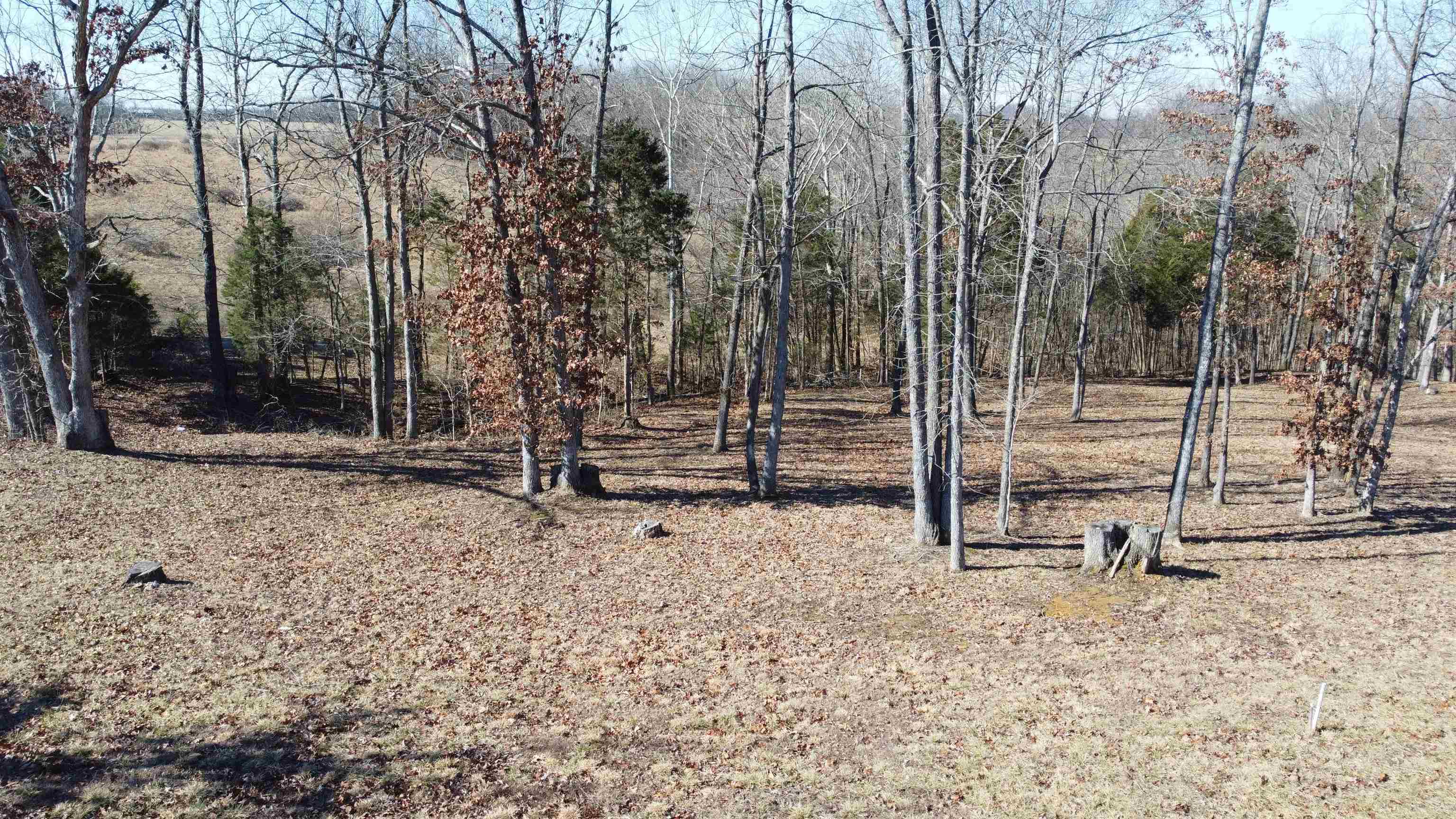 Lot 1 Stargazer Ln, Falls of Rough, Kentucky 40119, ,Land,For Sale,Stargazer Ln,91856