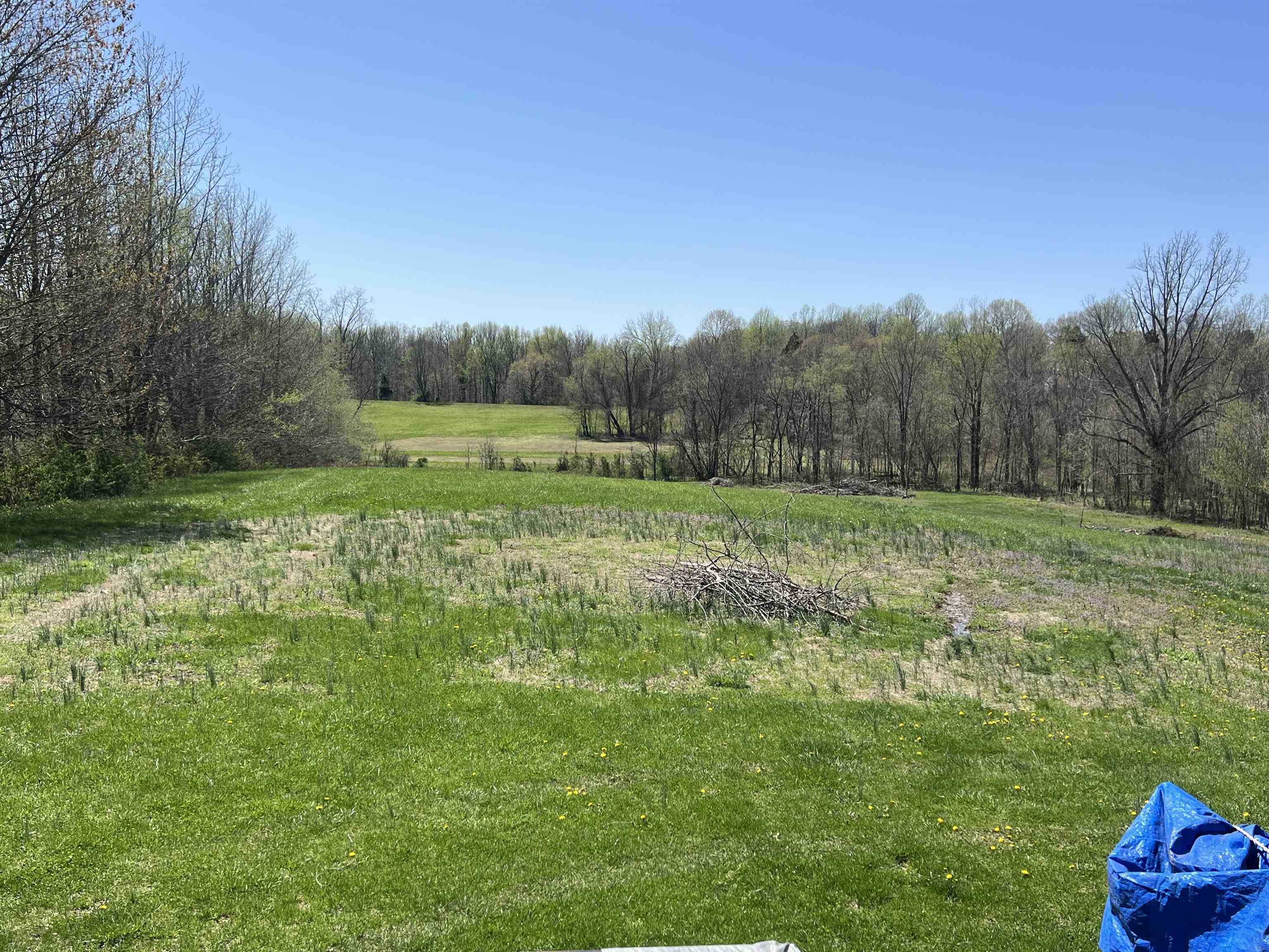 1570 Yelvington-Knottsville Rd, Maceo, Kentucky 42355, 4 Bedrooms Bedrooms, ,2 BathroomsBathrooms,Manufactured Home,For Sale,Yelvington-Knottsville Rd,91906