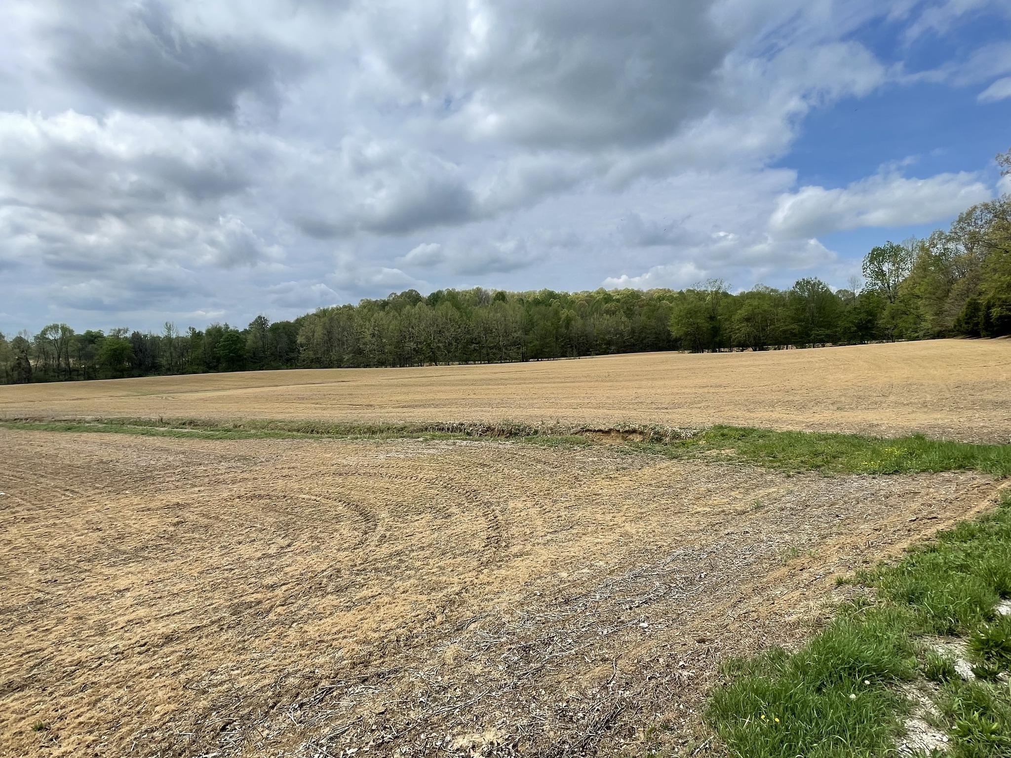 4826 Pellville Road, Reynolds Station, Kentucky 42368, 3 Bedrooms Bedrooms, ,2 BathroomsBathrooms,Manufactured On Land,For Sale,Pellville Road,92015