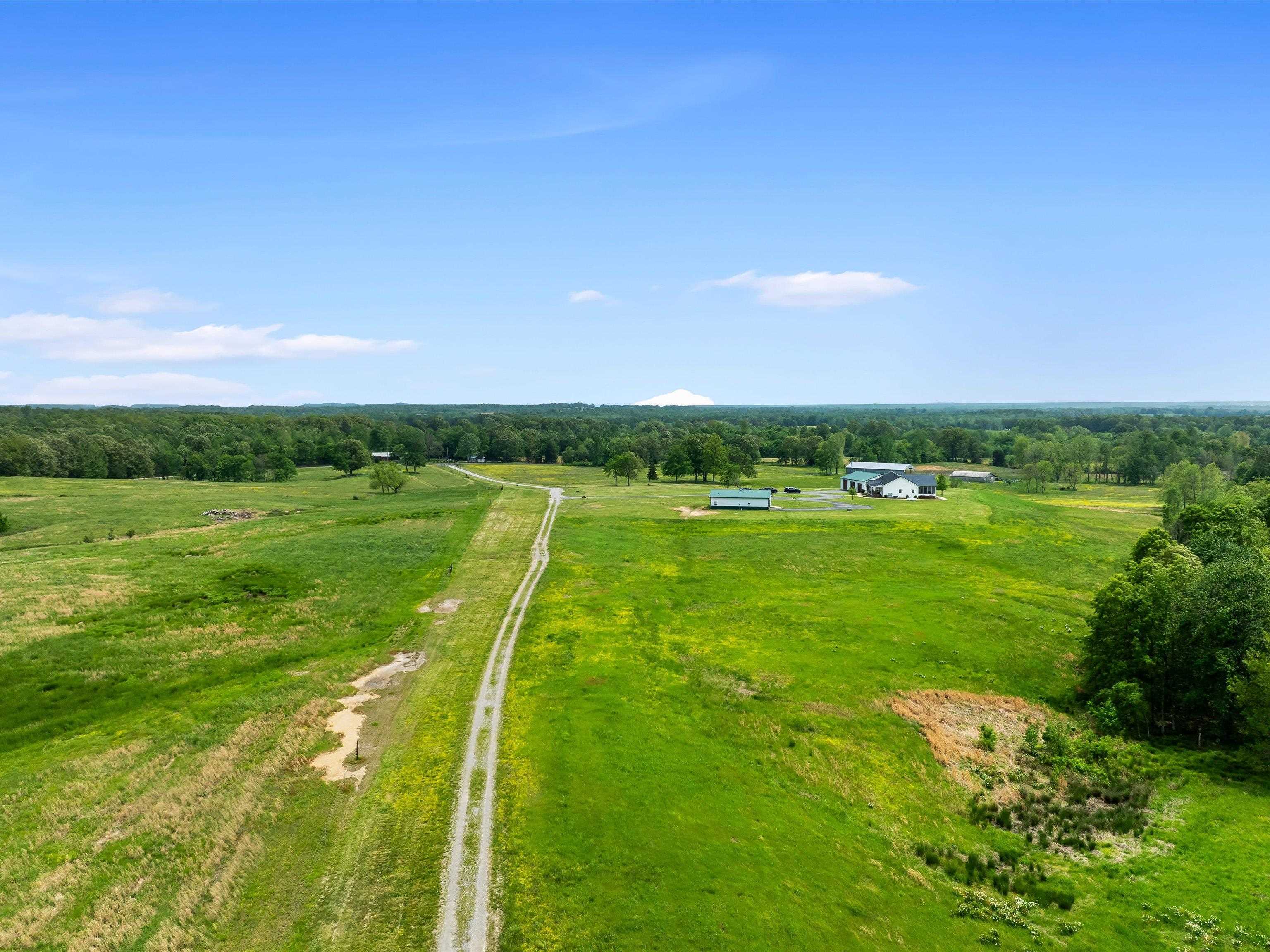 4848 Greenville Rd., White Plains, Kentucky 42464, 4 Bedrooms Bedrooms, ,2 BathroomsBathrooms,Farm,For Sale,Greenville Rd.,92078