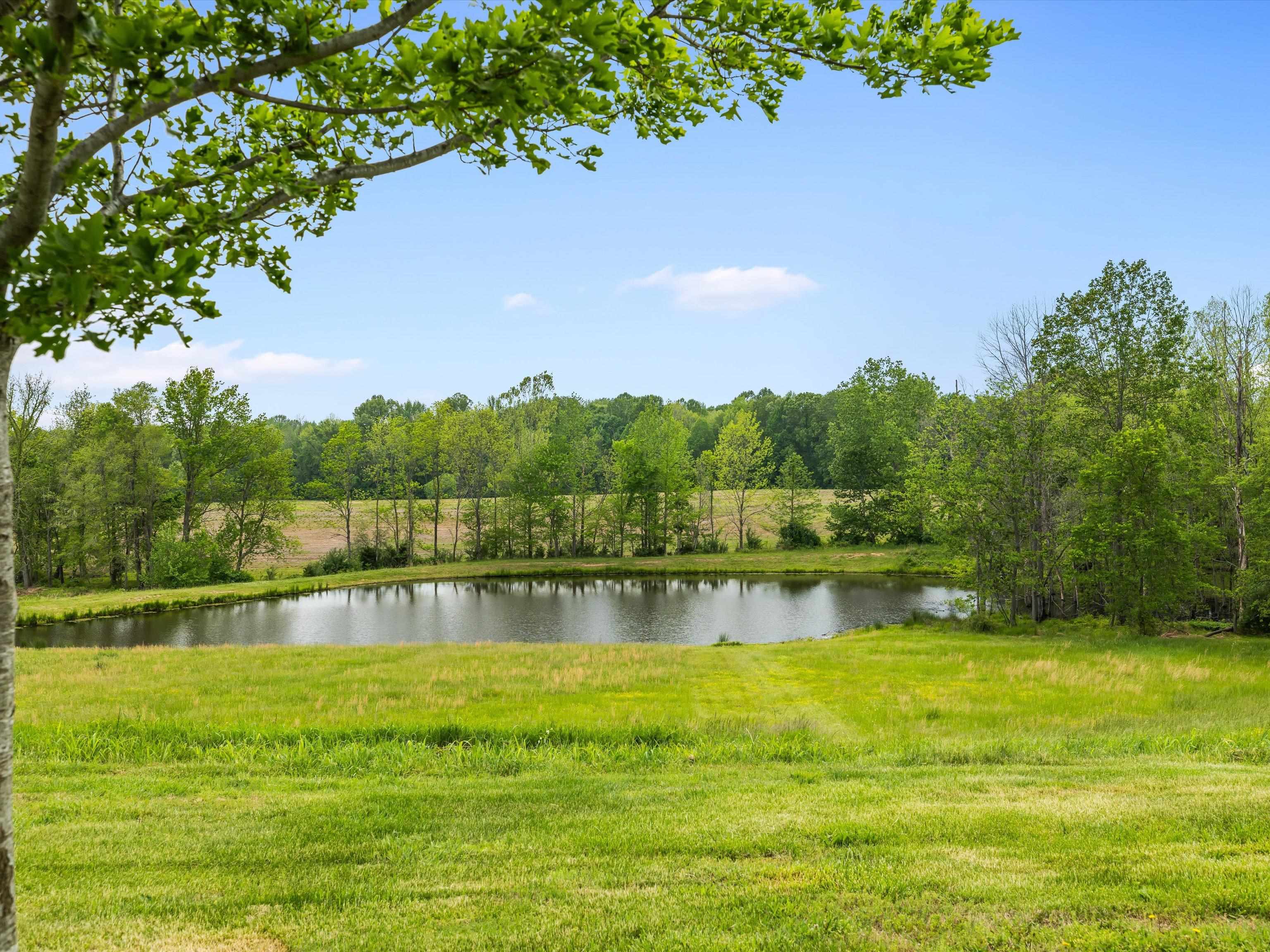 4848 Greenville Rd., White Plains, Kentucky 42464, 4 Bedrooms Bedrooms, ,2 BathroomsBathrooms,Farm,For Sale,Greenville Rd.,92078