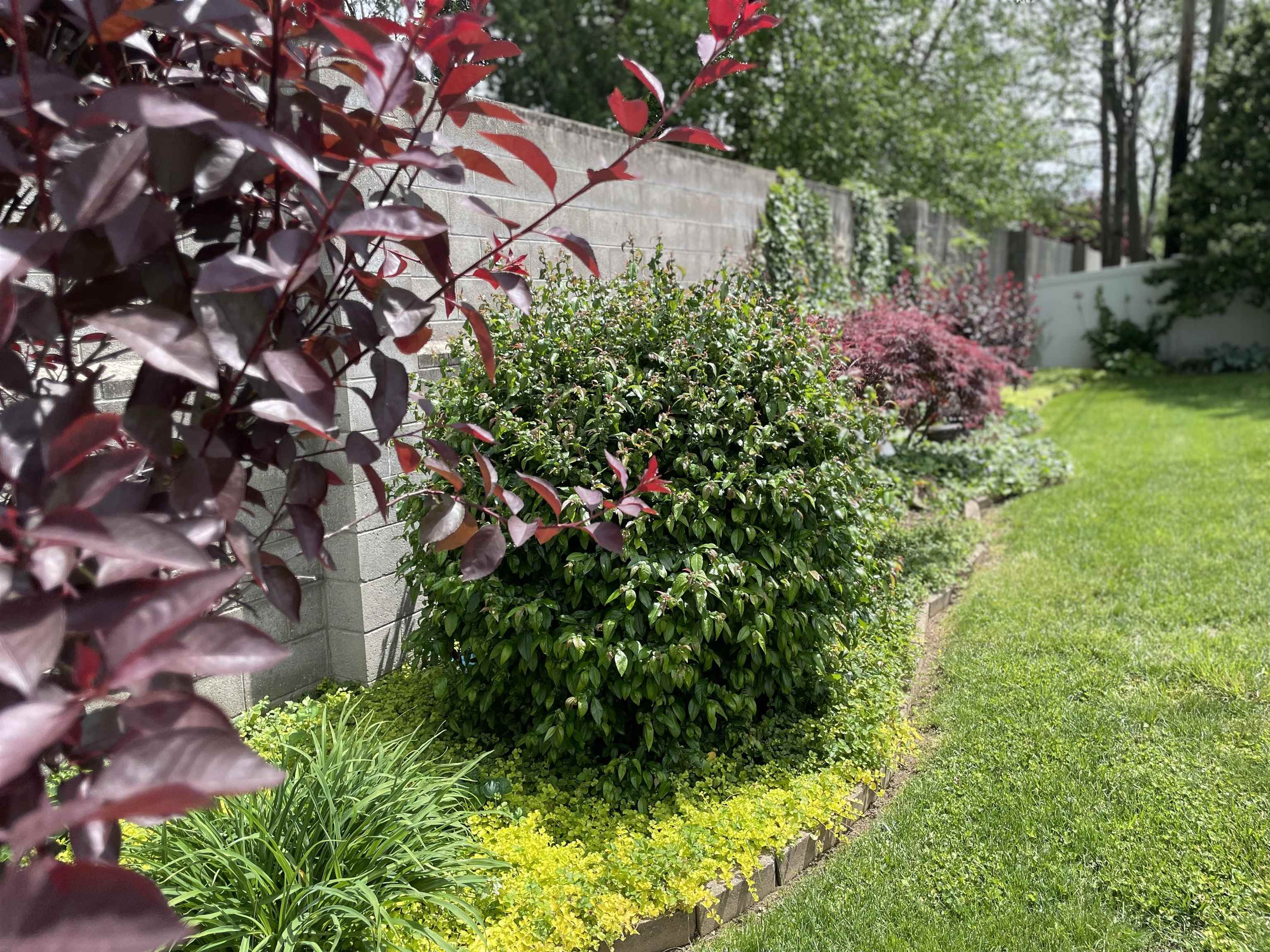 2229 Wintergreen Loop N, Owensboro, Kentucky 42301, 3 Bedrooms Bedrooms, ,3 BathroomsBathrooms,Ranch,For Sale,Wintergreen Loop N,92092