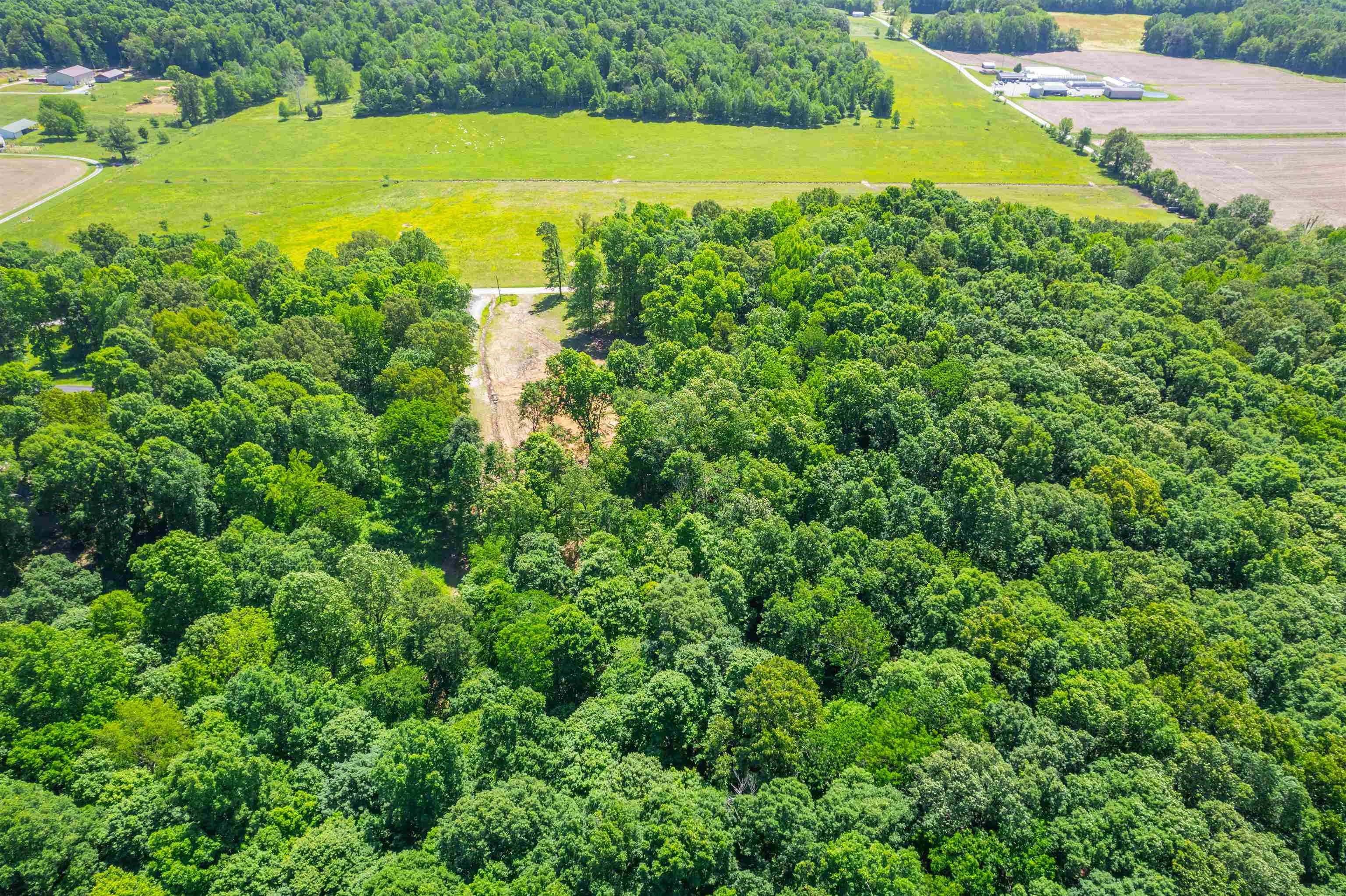8726 Kentucky 762, Philpot, Kentucky 42366, ,Land,For Sale,Kentucky 762,92158