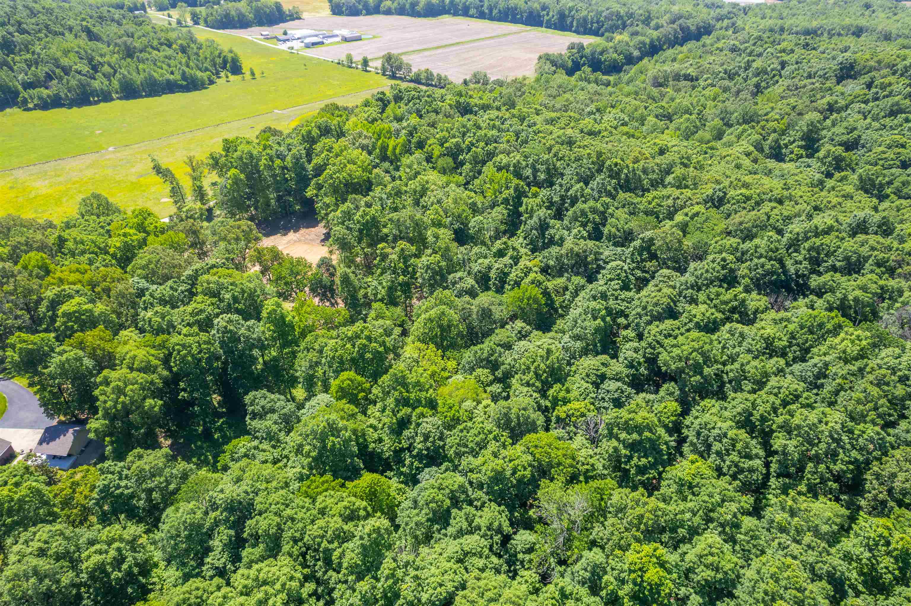 8726 Kentucky 762, Philpot, Kentucky 42366, ,Land,For Sale,Kentucky 762,92158