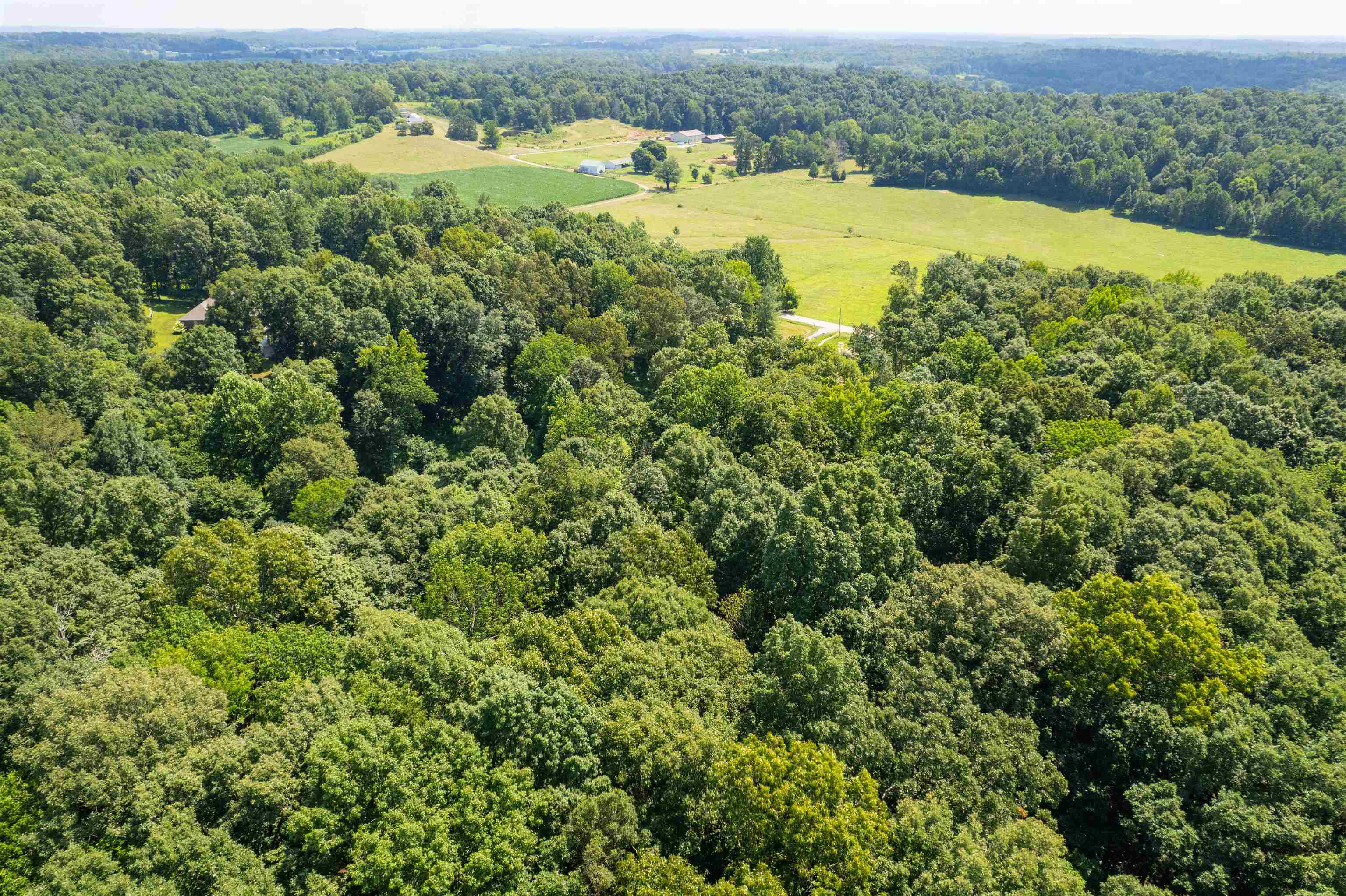 8726 Kentucky 762, Philpot, Kentucky 42366, ,Land,For Sale,Kentucky 762,92158