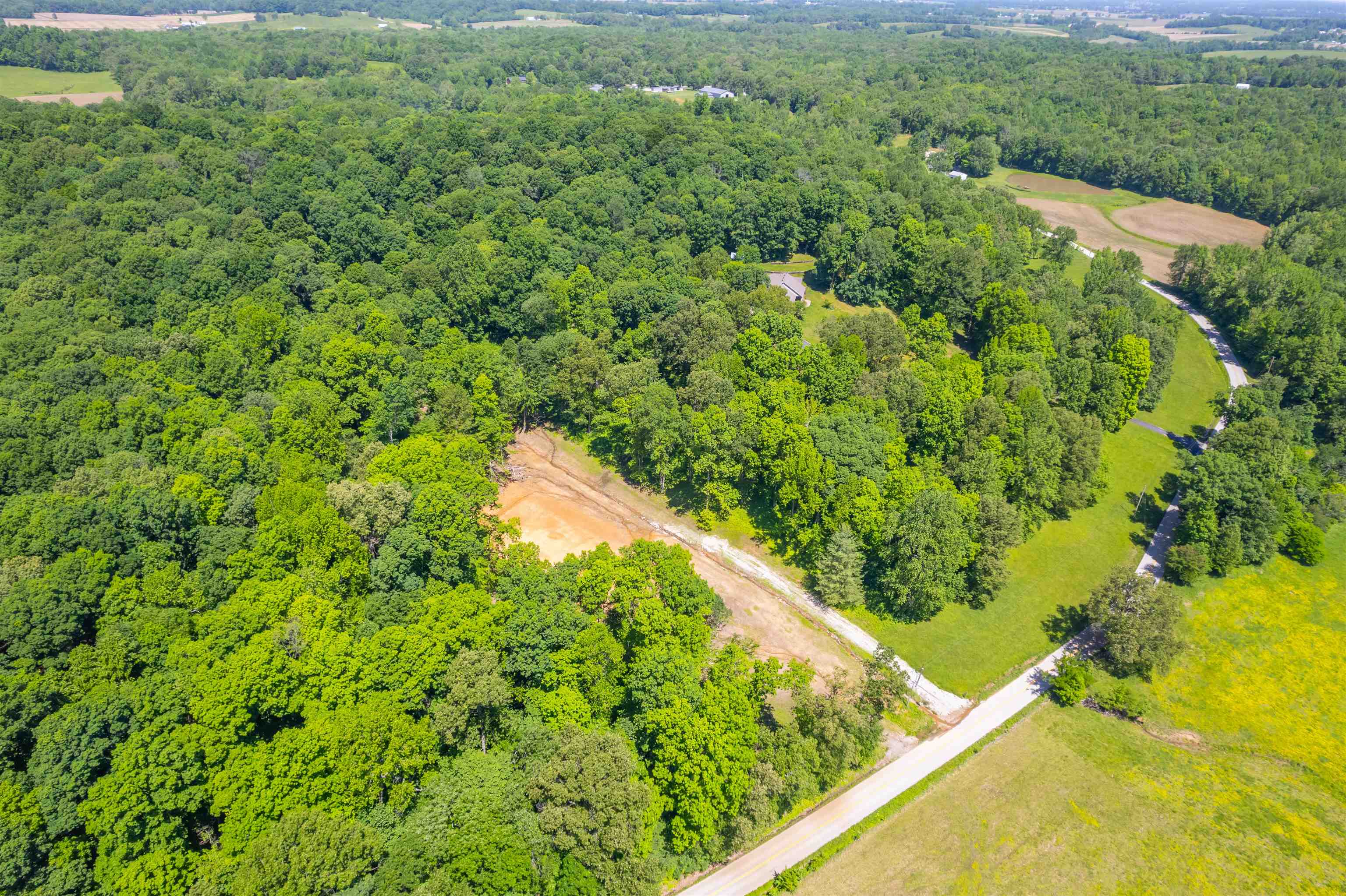 8726 Kentucky 762, Philpot, Kentucky 42366, ,Land,For Sale,Kentucky 762,92158