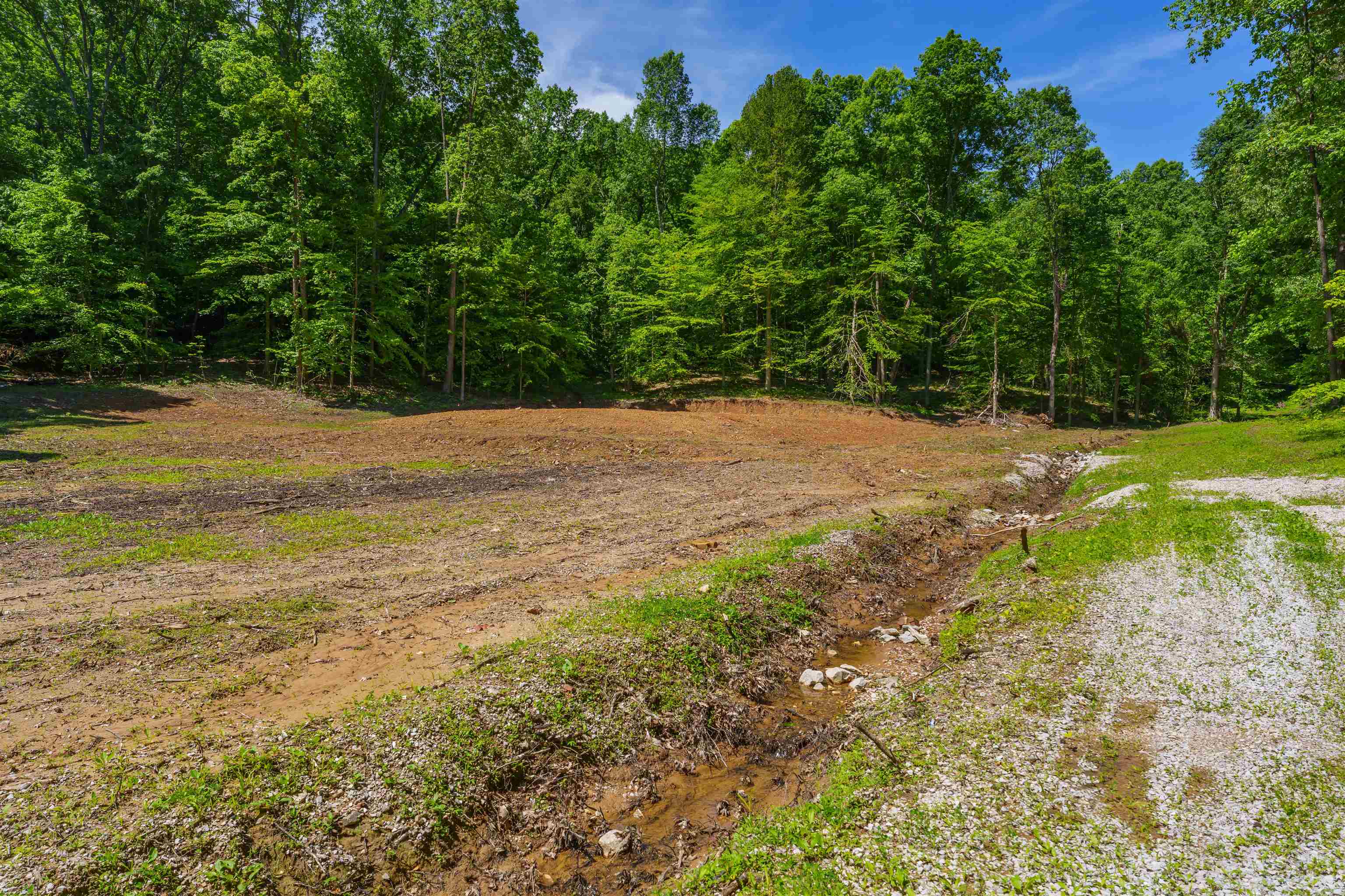8726 Kentucky 762, Philpot, Kentucky 42366, ,Land,For Sale,Kentucky 762,92158