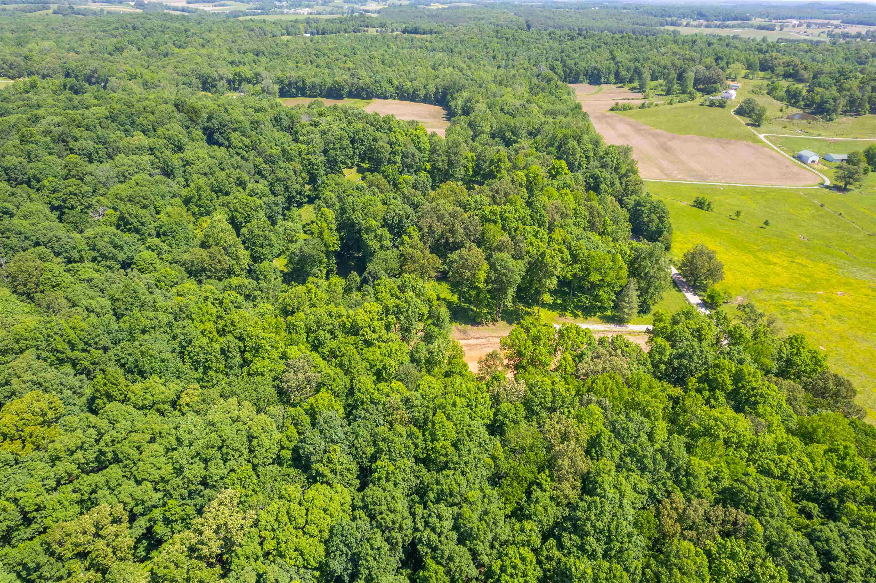 8726 Kentucky 762, Philpot, Kentucky 42366, ,Land,For Sale,Kentucky 762,92158