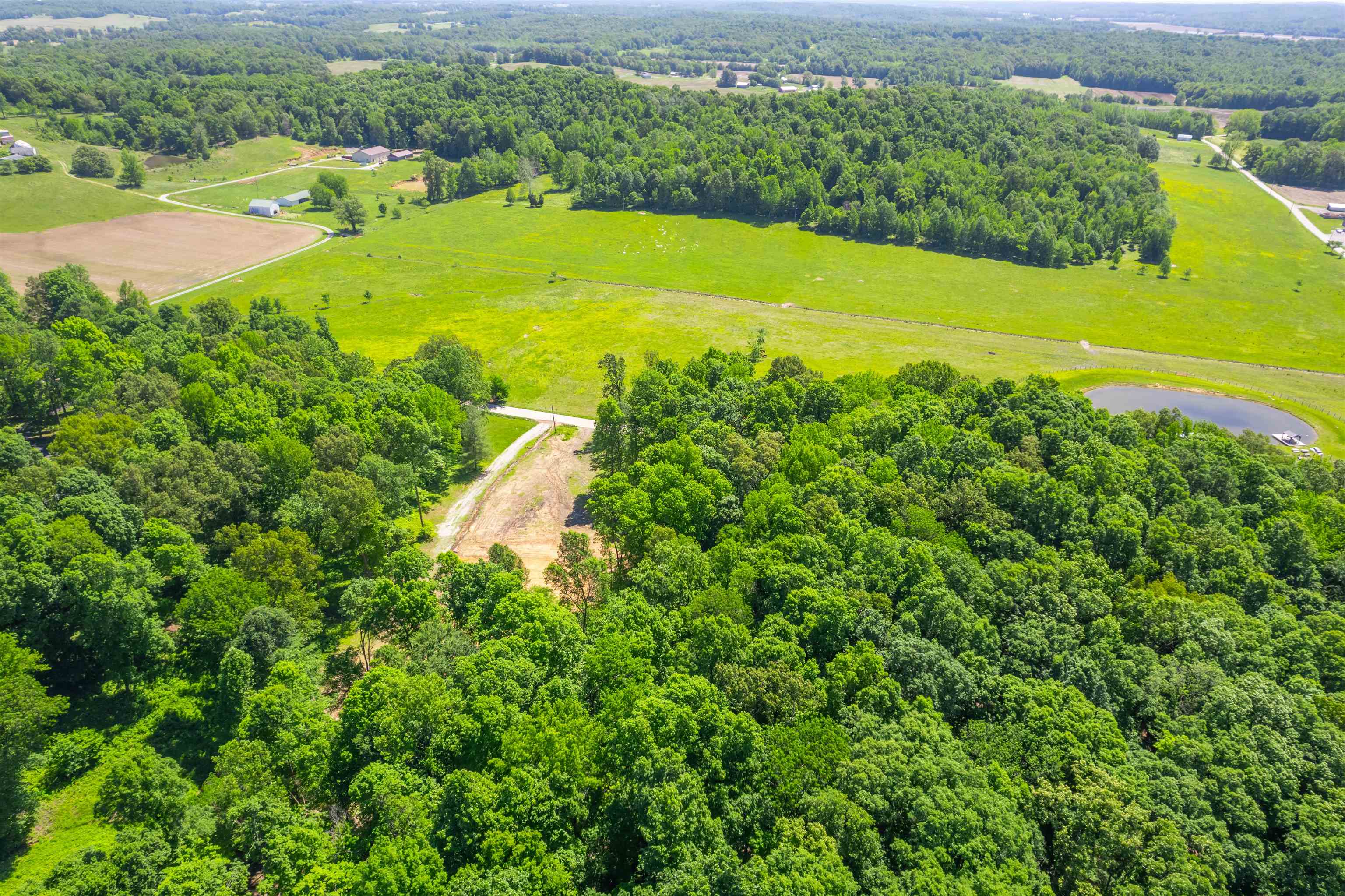 8726 Kentucky 762, Philpot, Kentucky 42366, ,Land,For Sale,Kentucky 762,92158