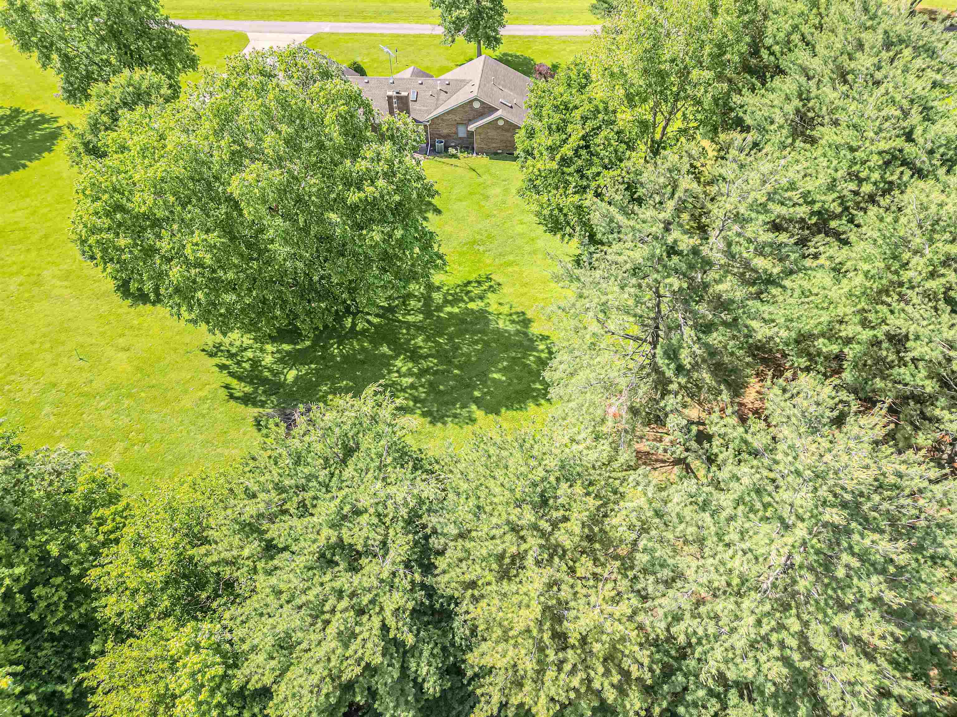 1639 Daniels Ln, Owensboro, Kentucky 42303, 3 Bedrooms Bedrooms, ,2 BathroomsBathrooms,Single Family Residence,For Sale,Daniels Ln,92201