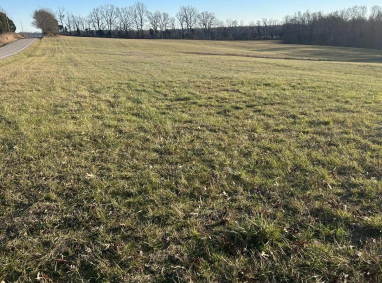 9396 Highway 629, Falls of Rough, Kentucky 40119, ,Land,For Sale,Highway 629,92222