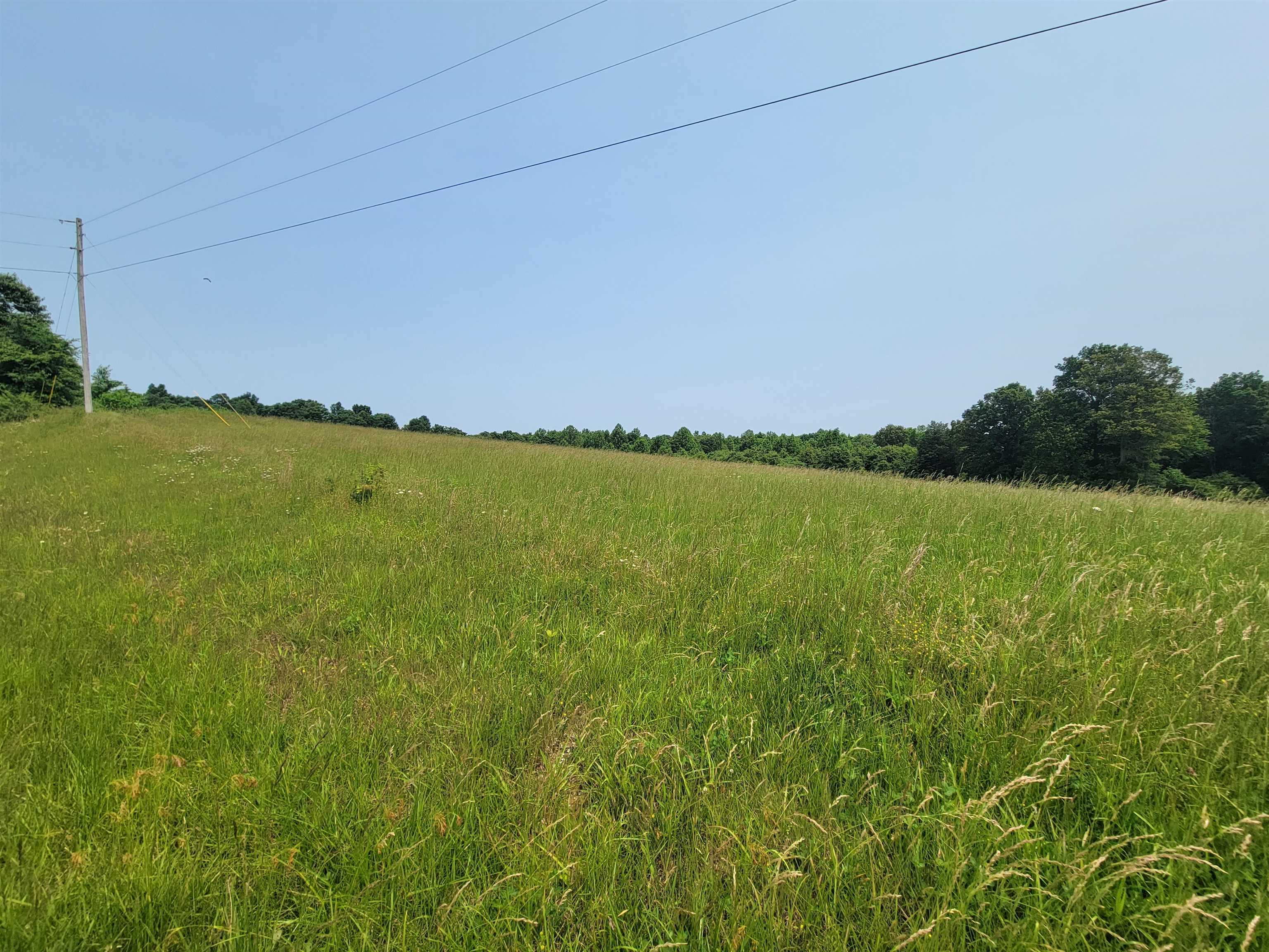 429 Flint Springs Road, Cromwell, Kentucky 42333, ,Land,For Sale,Flint Springs Road,92243